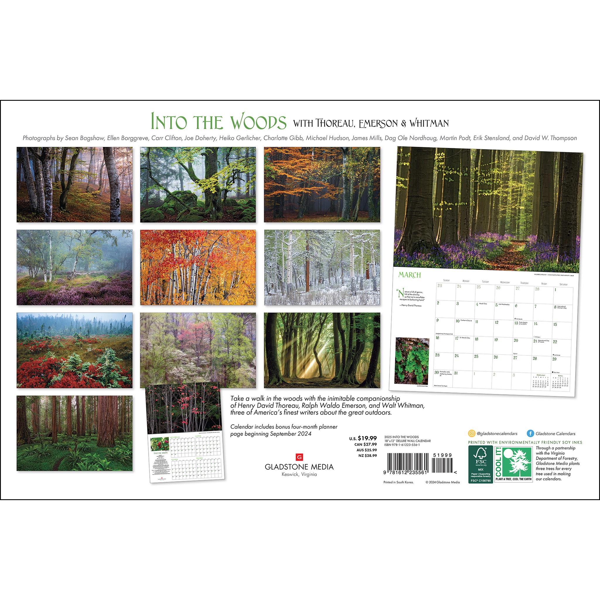 Into The Woods Oversized Wall 2025 Calendar