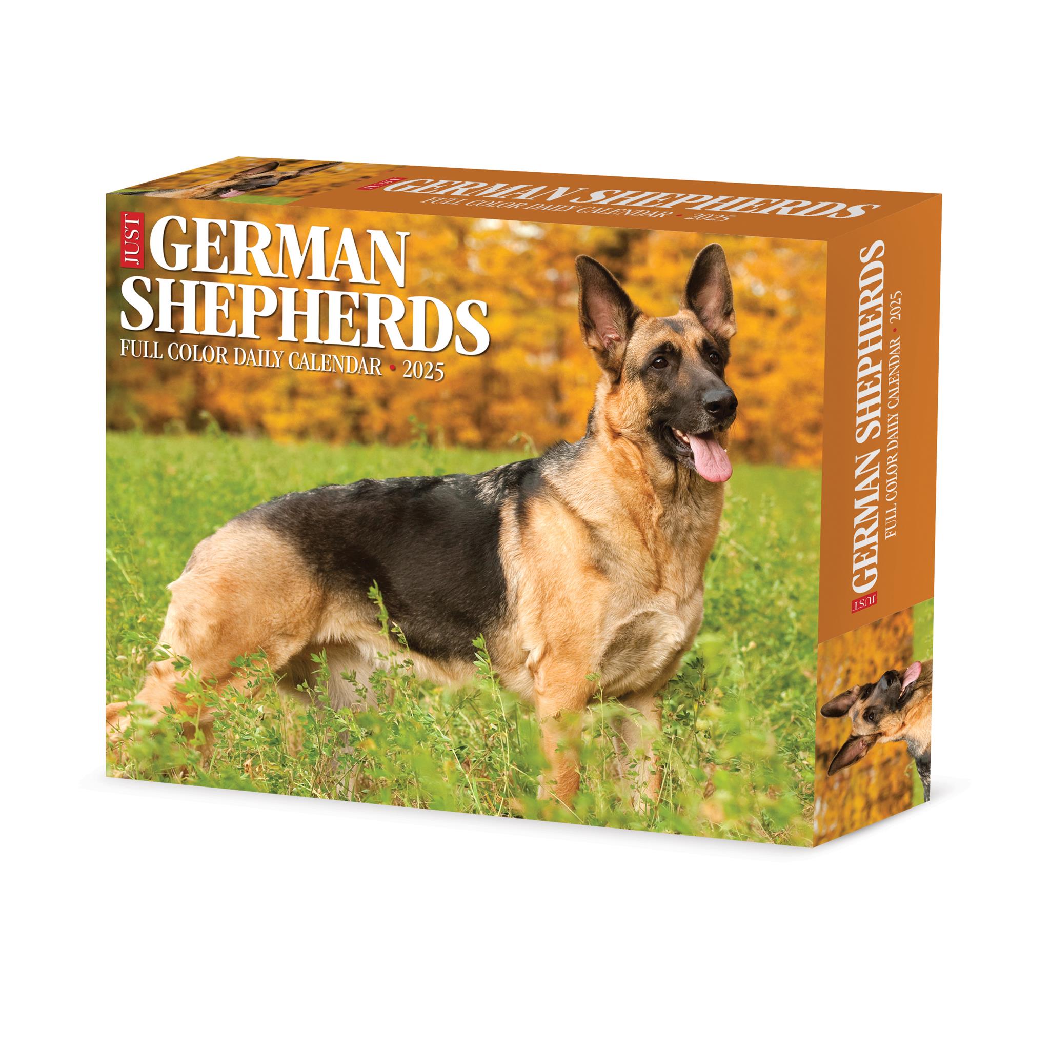 Just German Shepherds Box 2025 Calendar - Online Exclusive