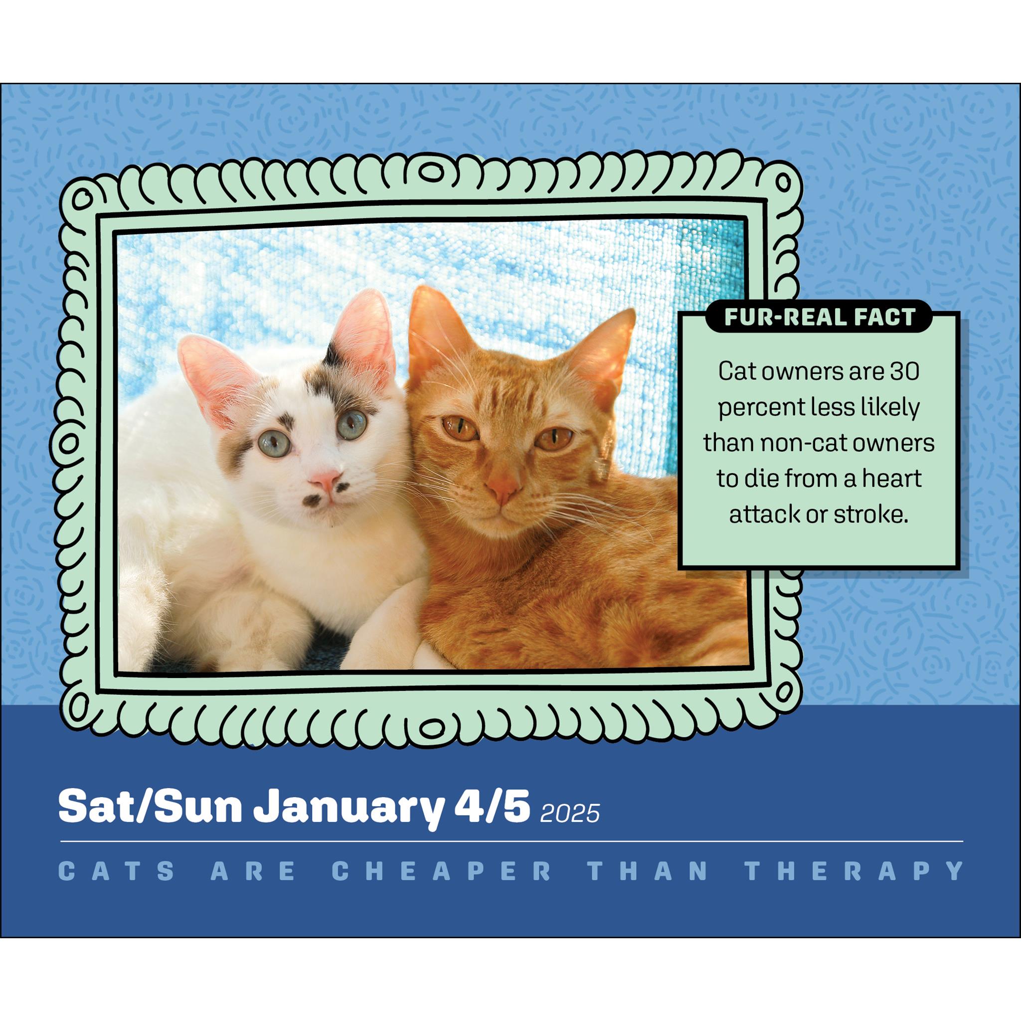 Cats Are Cheaper Than Therapy Box 2025 Calendar - Online Exclusive