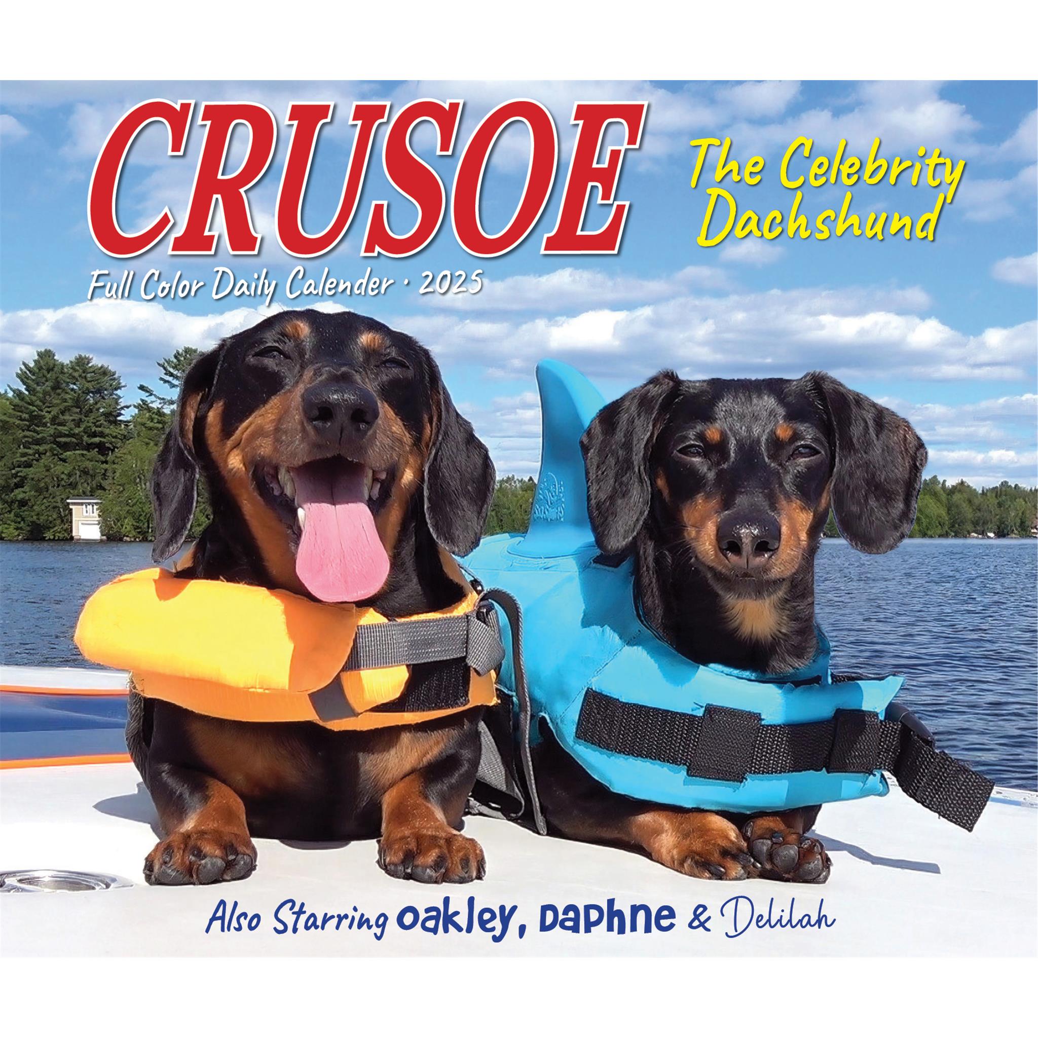 Crusoe The Celebrity Dachshund Box 2025 Calendar - Online Exclusive