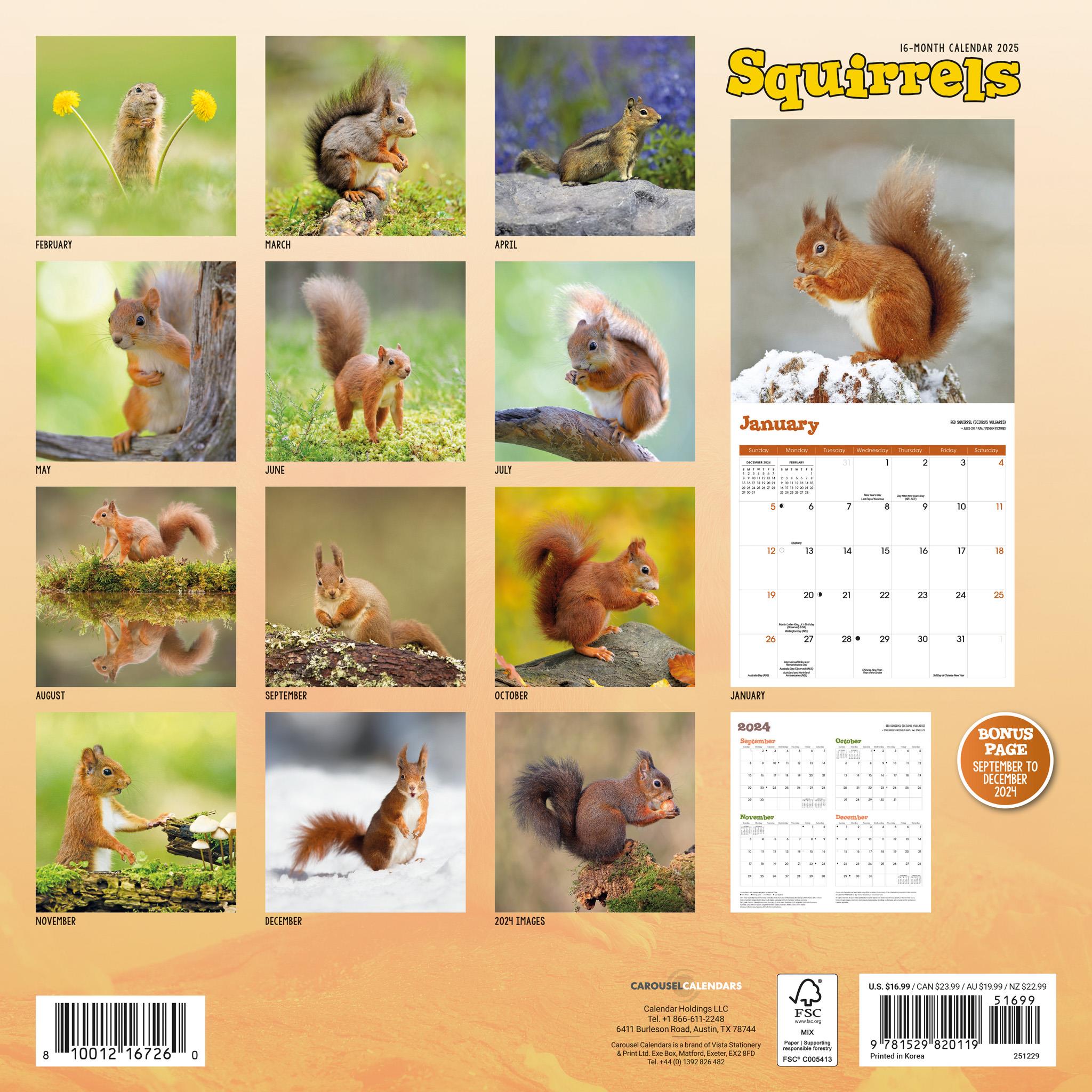 Squirrels Wall 2025 Calendar