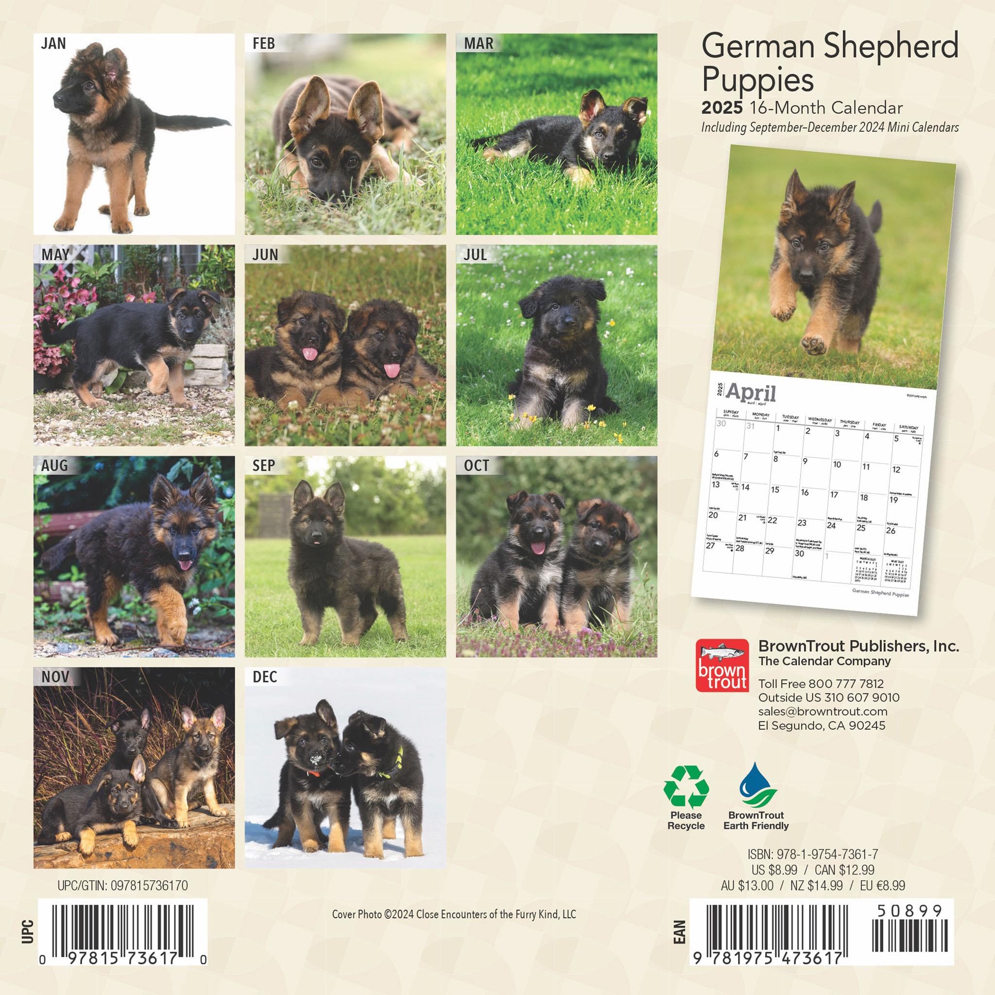 German Shepherd Puppies Mini 2025 Calendar