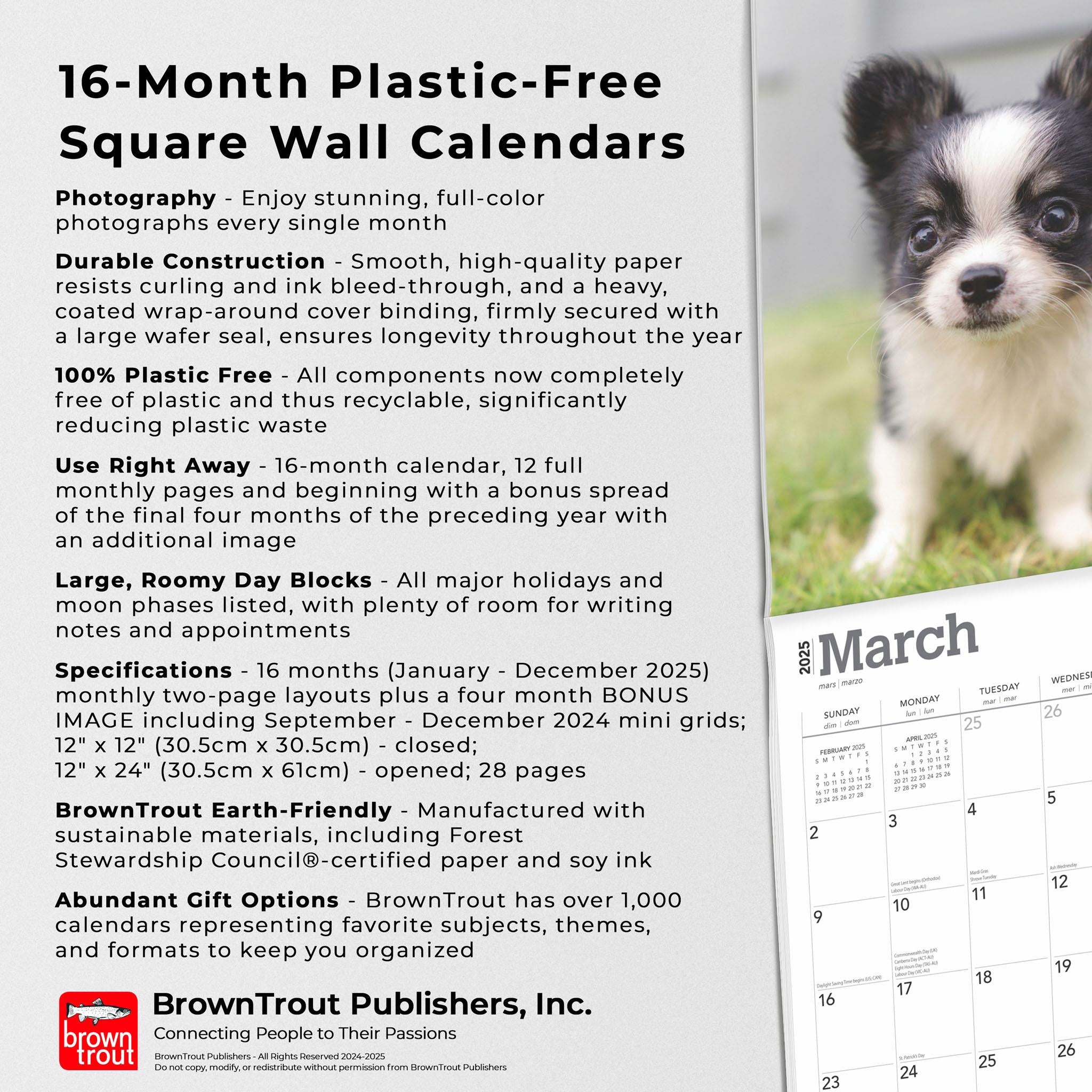 Chihuahua Puppies Wall 2025 Calendar