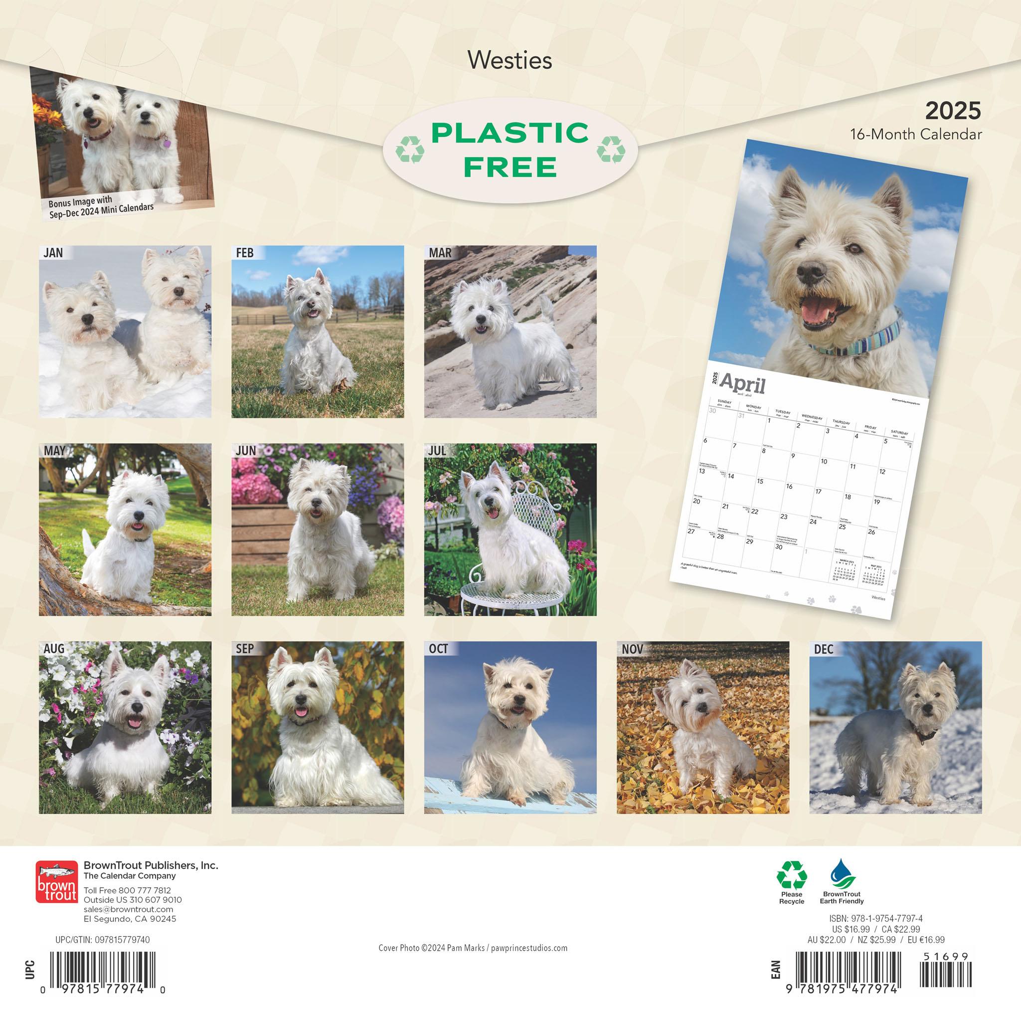 West Highland White Terriers Wall 2025 Calendar