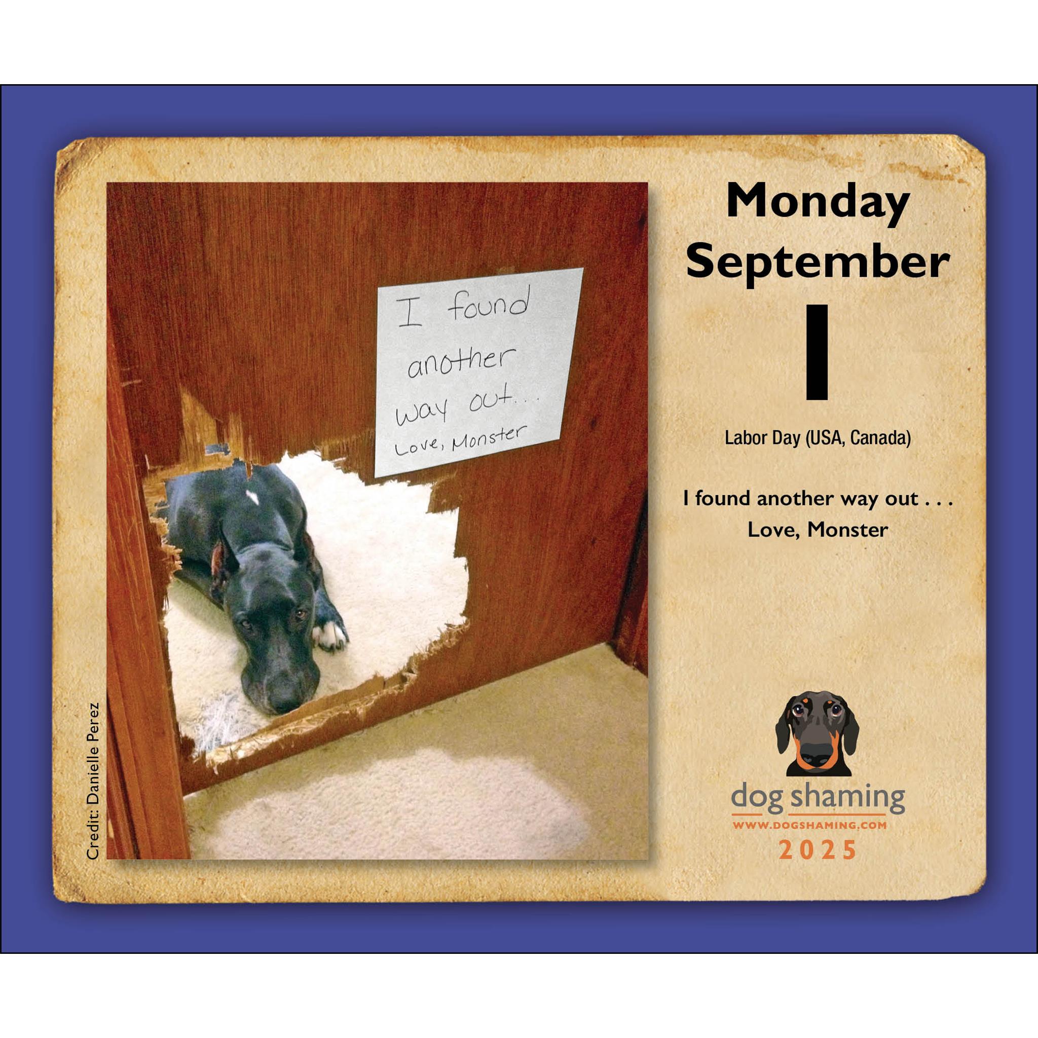 Dog Shaming Box 2025 Calendar