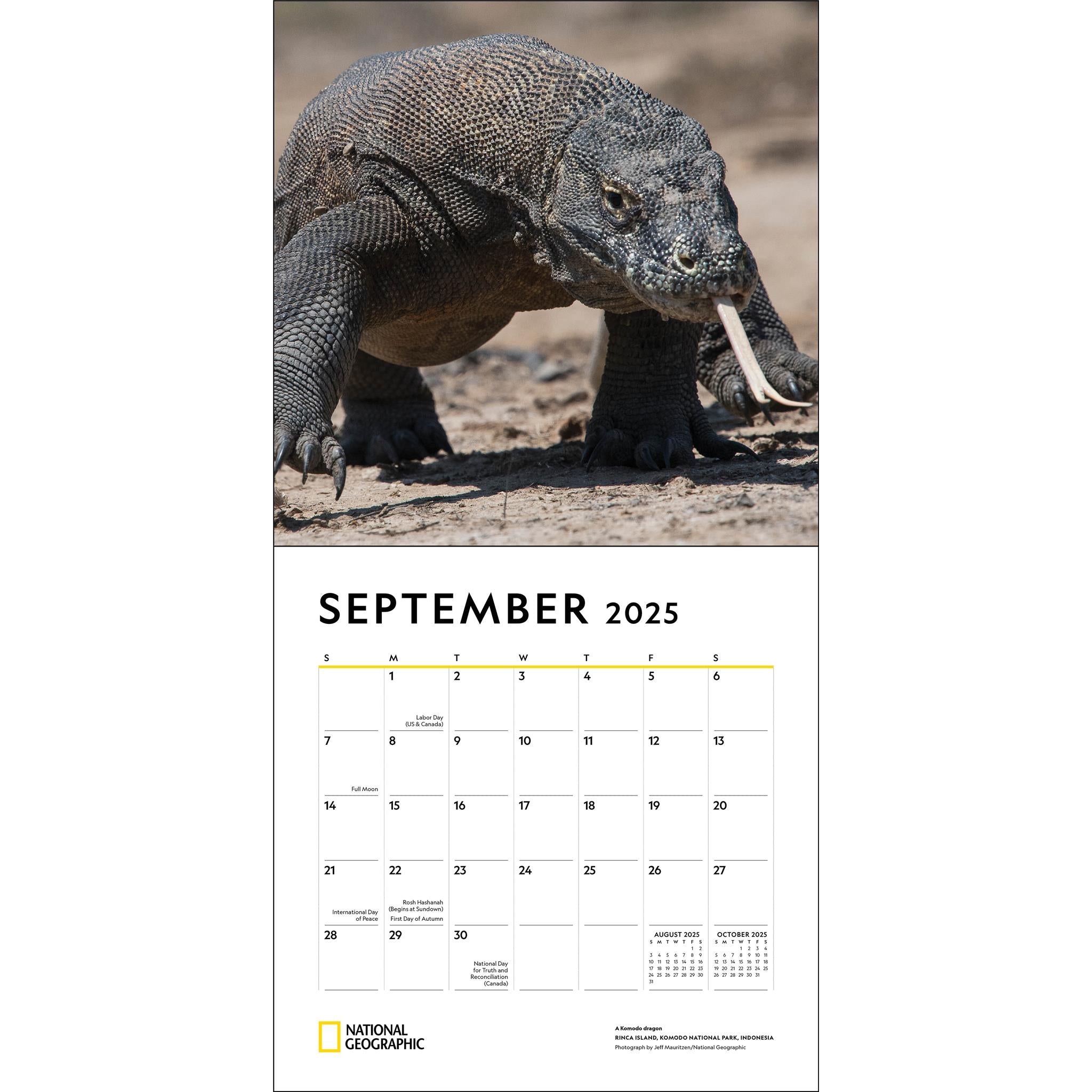 Apex Predators National Geographic Wall 2025 Calendar - Online Exclusive