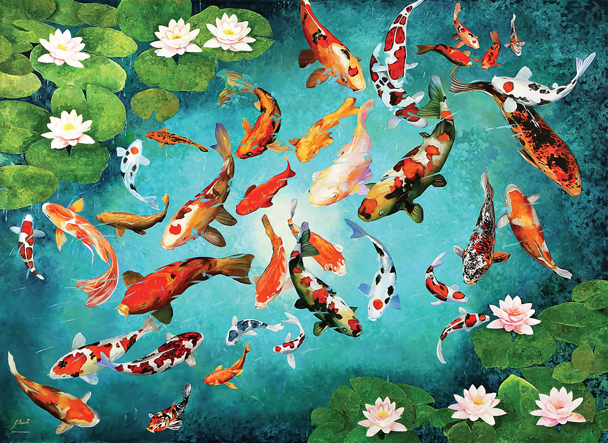 Koi Fish 1000 Piece Puzzle