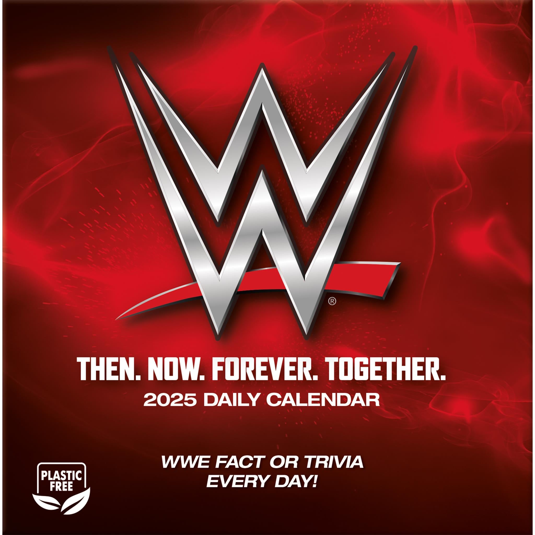 WWE Box 2025 Calendar - Online Exclusive