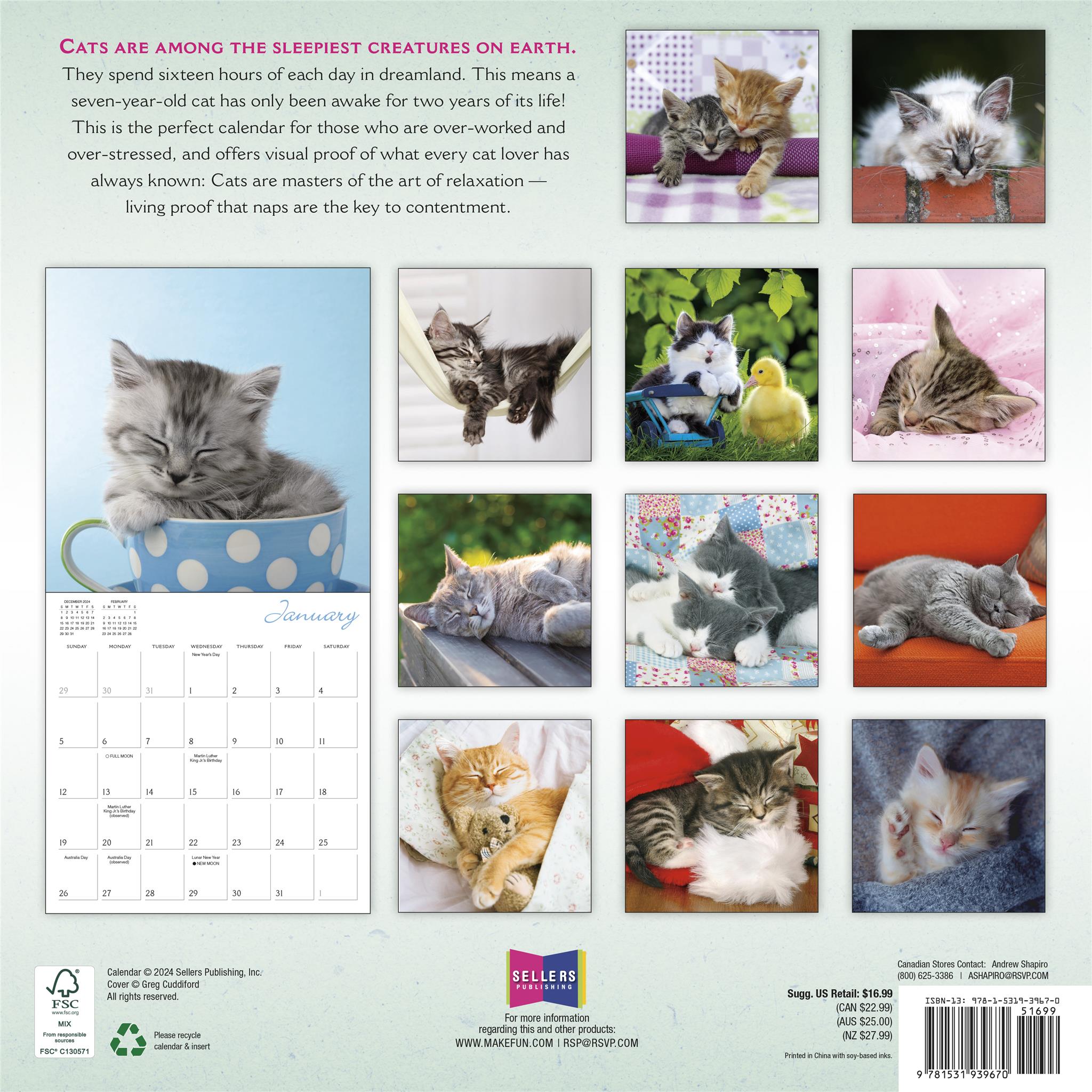 Cat Naps Wall 2025 Calendar - Online Exclusive