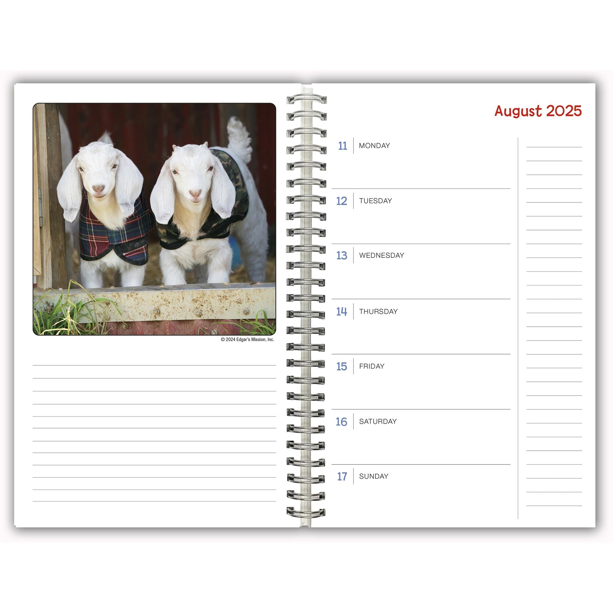 Lambies In Jammies And Goats In Coats Engagement 2025 Calendar - Online Exclusive