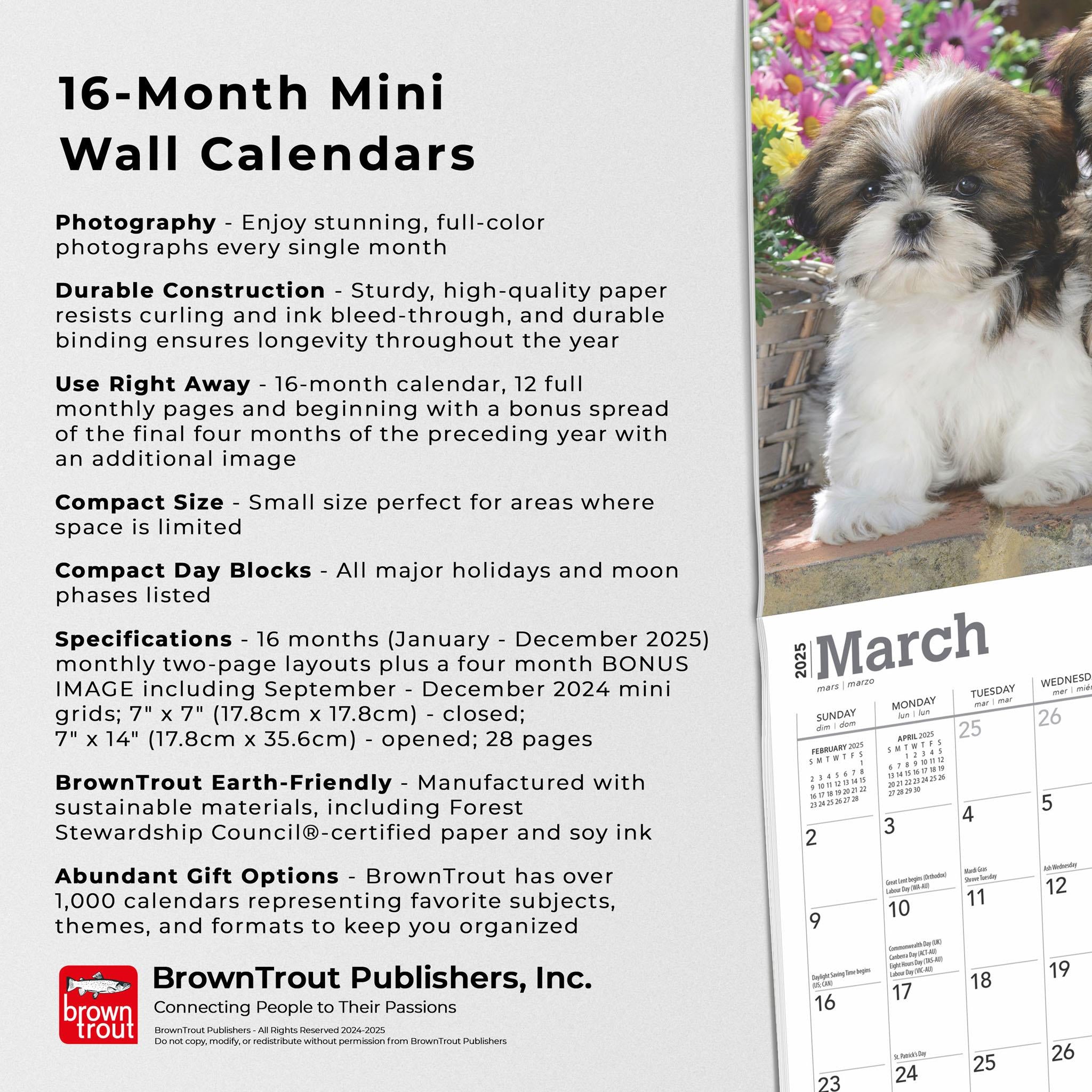 Shih Tzu Puppies Mini 2025 Calendar