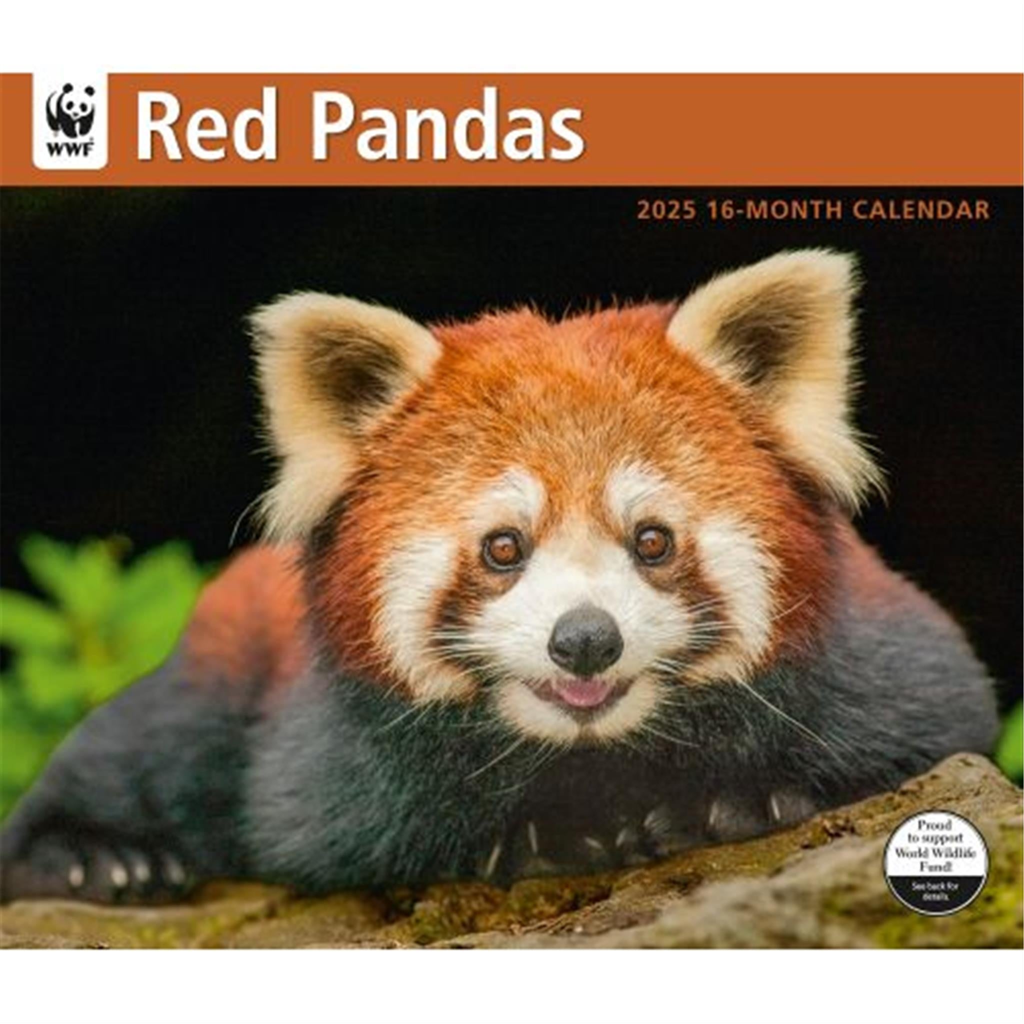 Red Pandas World Wildlife Fund Wall 2025 Calendar