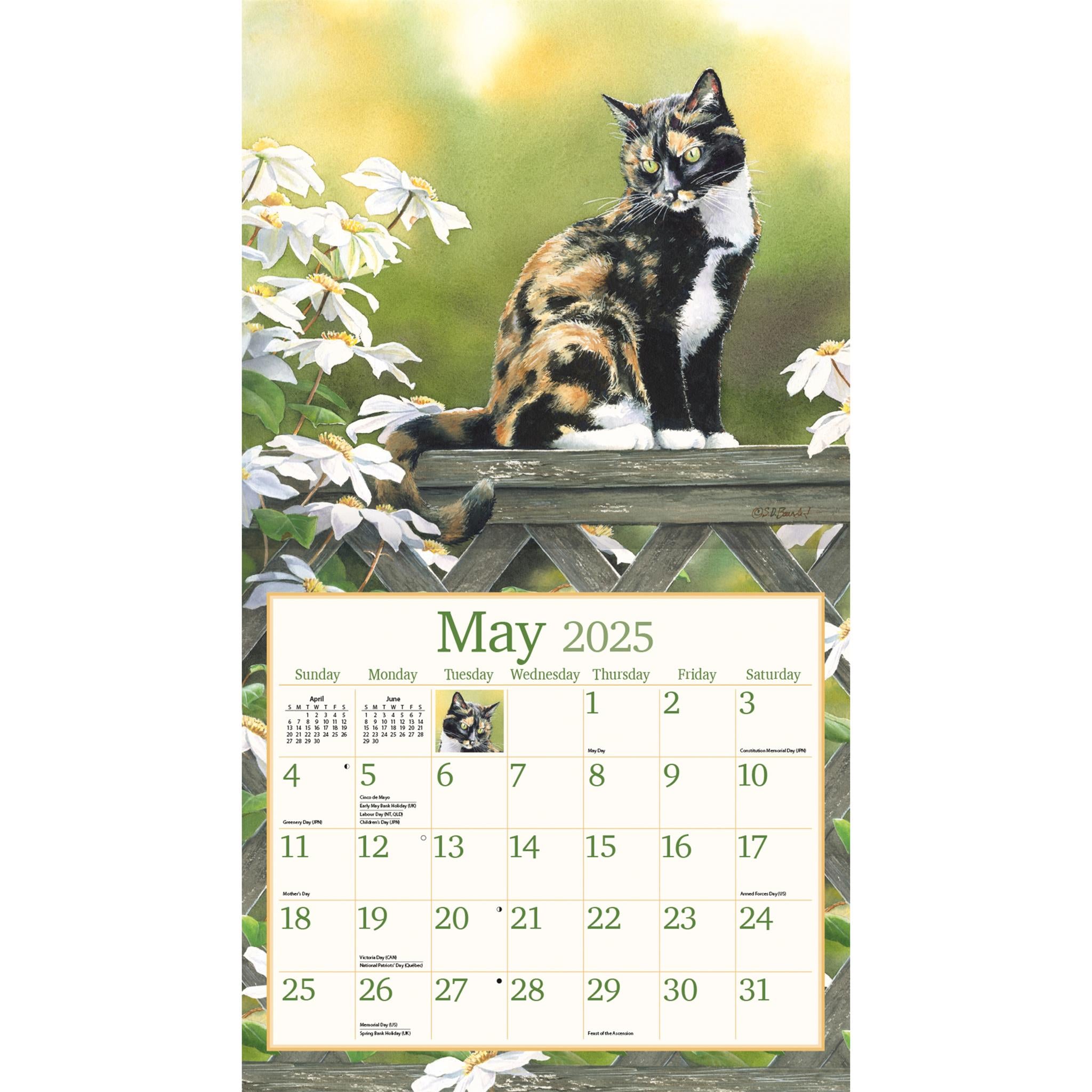 Cats In The Country Wall 2025 Calendar