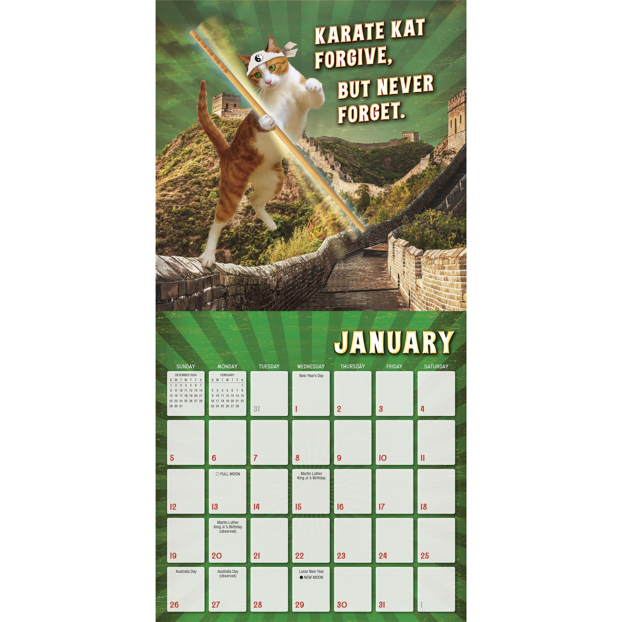 Karate Kat Wall 2025 Calendar - Online Exclusive