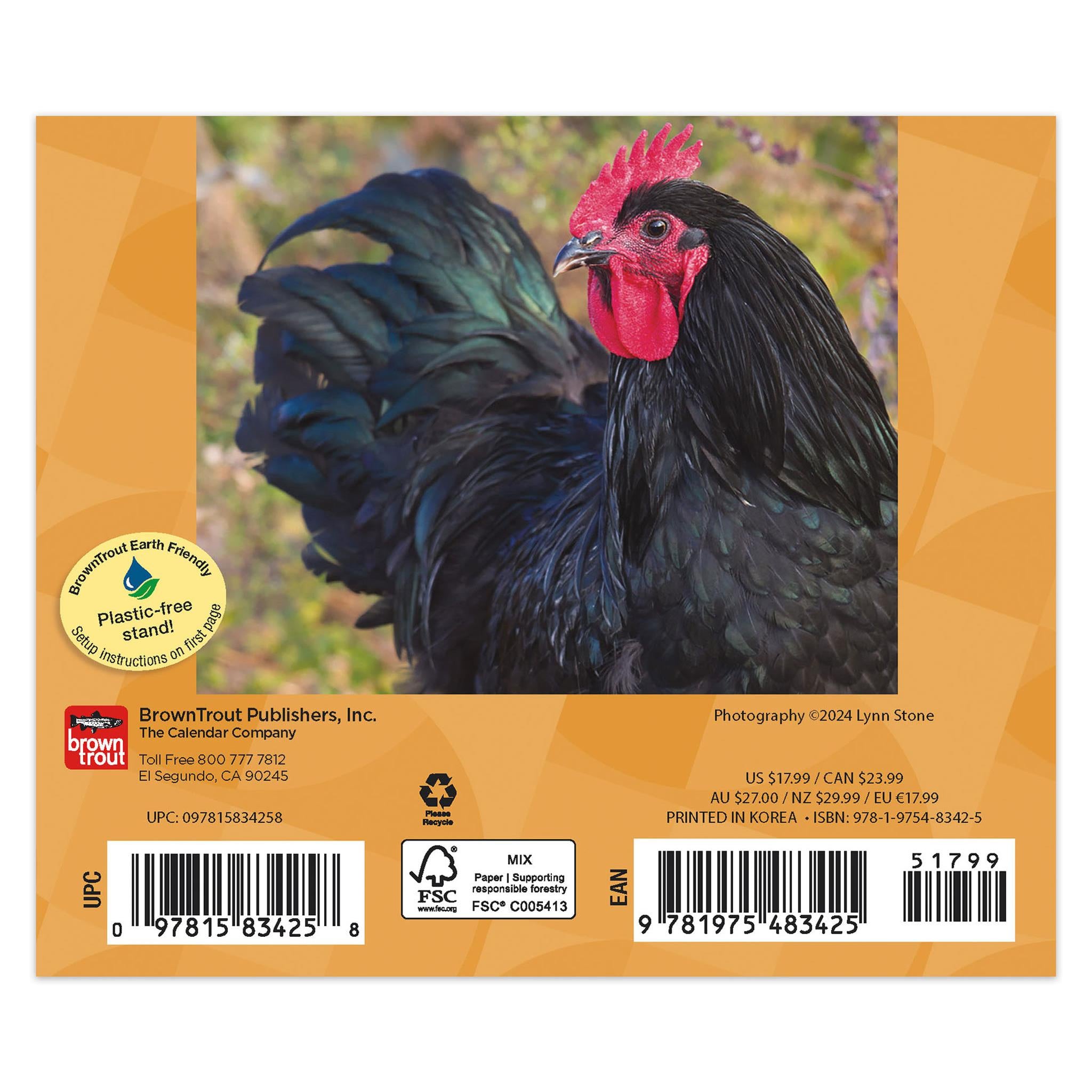 Chickens Box 2025 Calendar - Online Exclusive