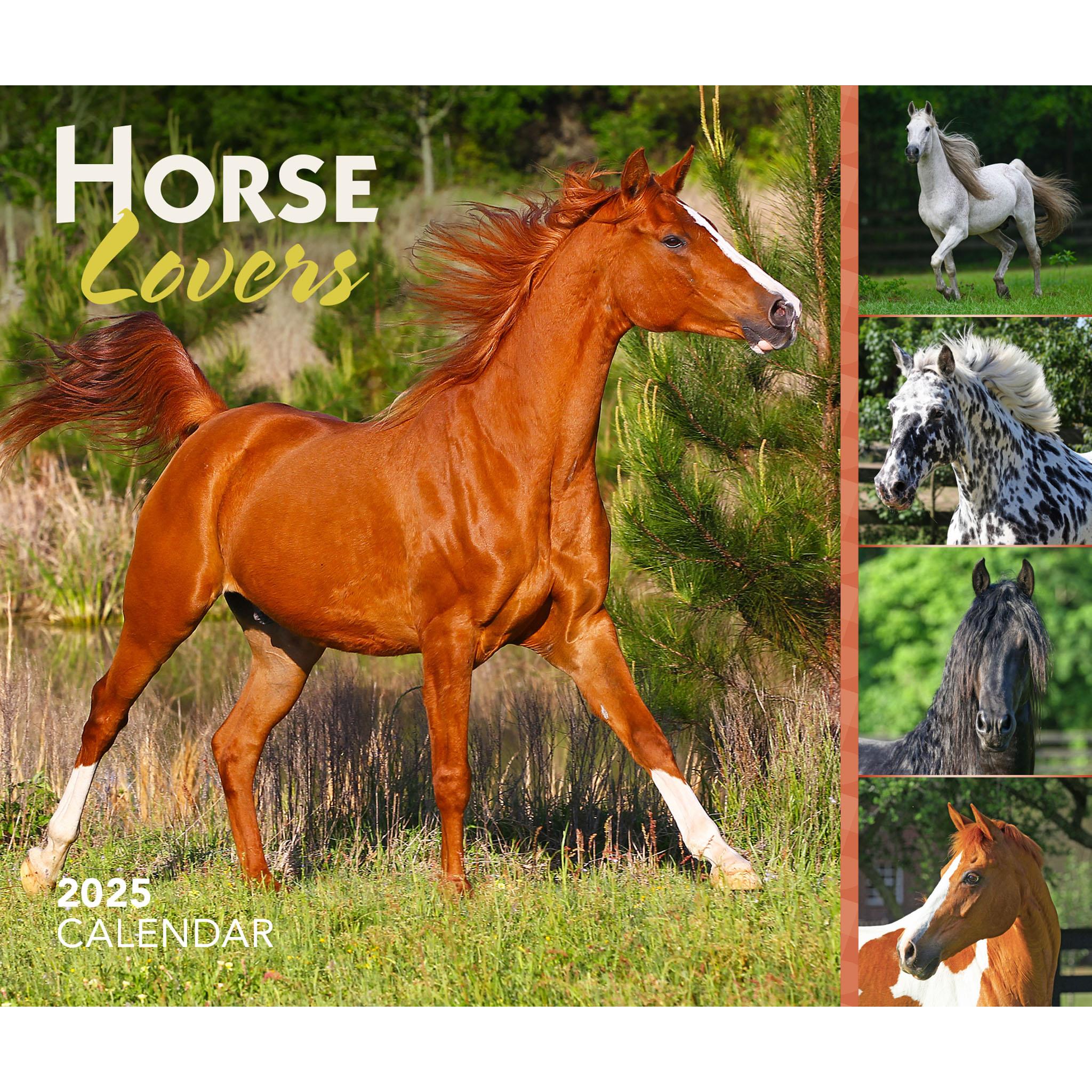 Horse Lovers Box 2025 Calendar - Online Exclusive