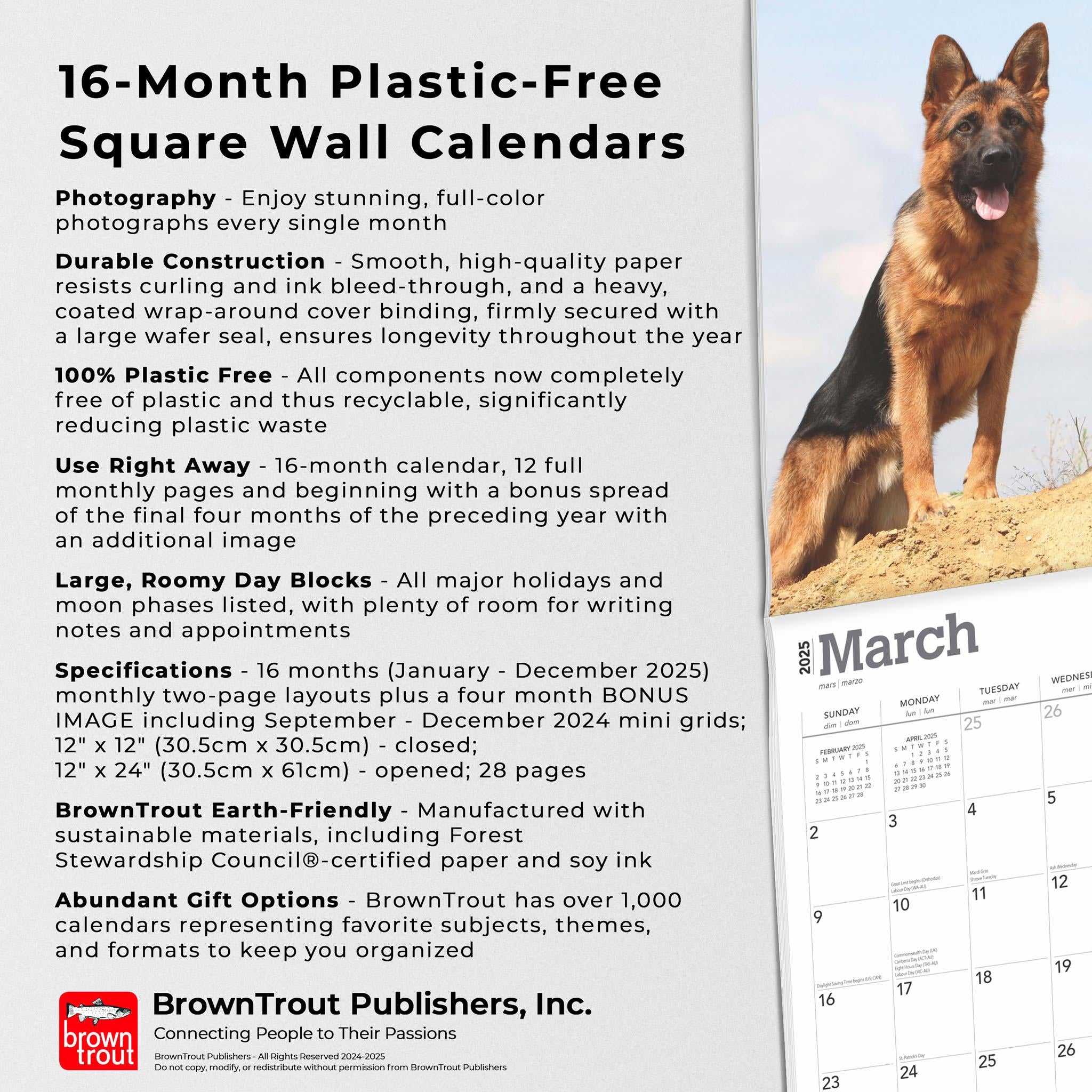 German Shepherds Wall 2025 Calendar - Online Exclusive