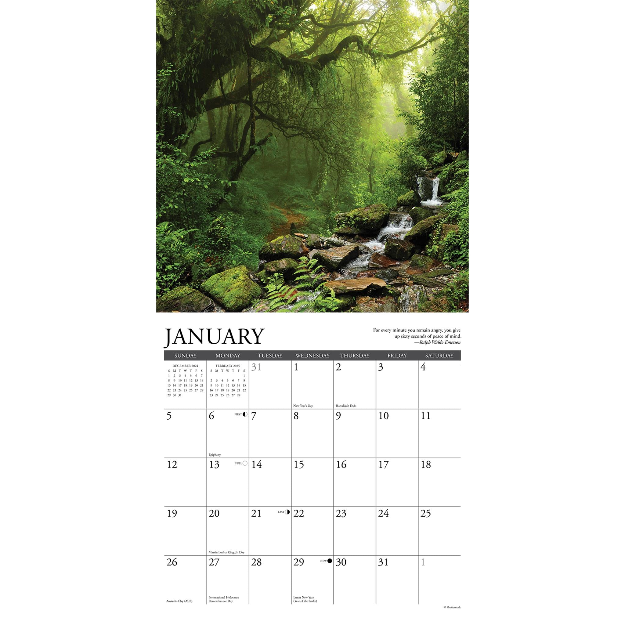 Heaven Has A Forest Wall 2025 Calendar - Online Exclusive