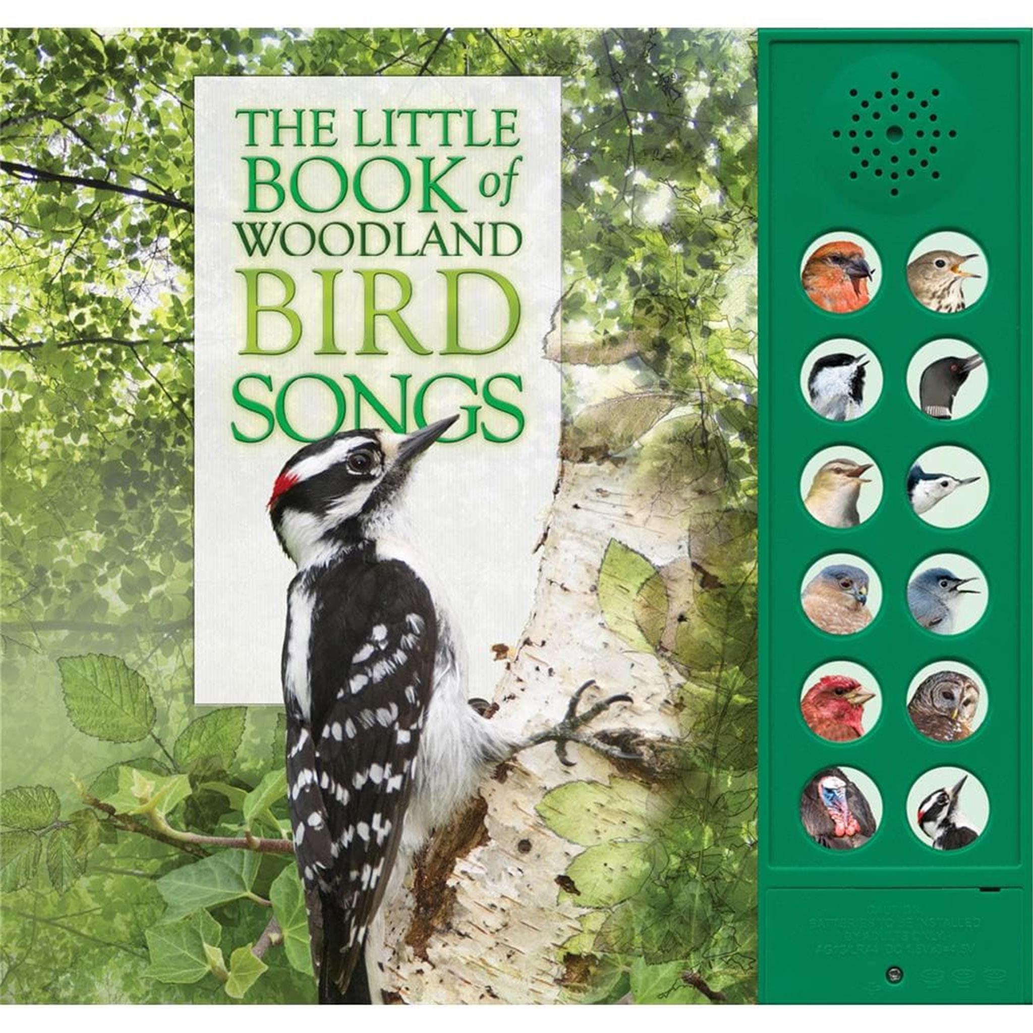 Little Book Woodland Bird Songs - FINAL SALE