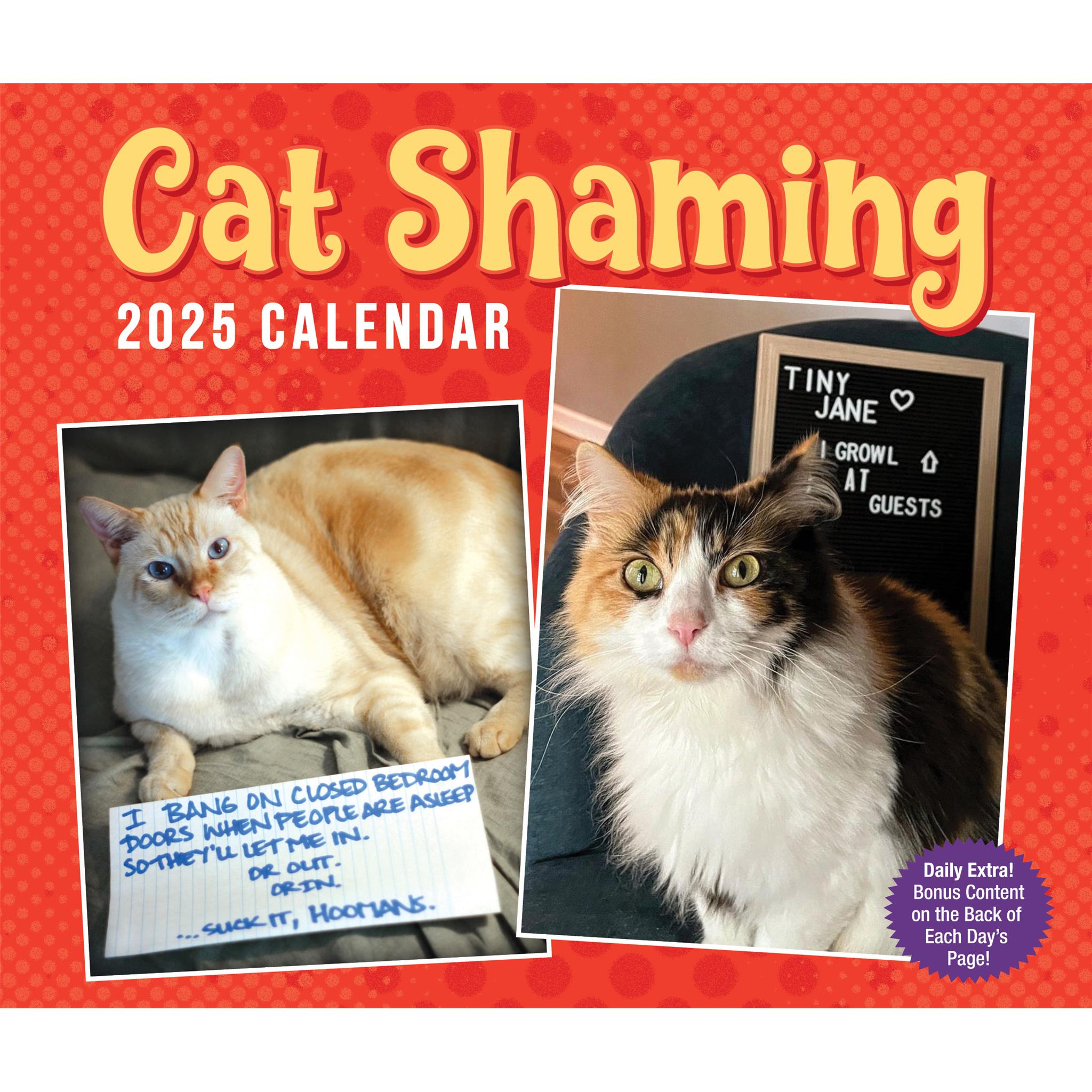 Cat Shaming Box 2025 Calendar