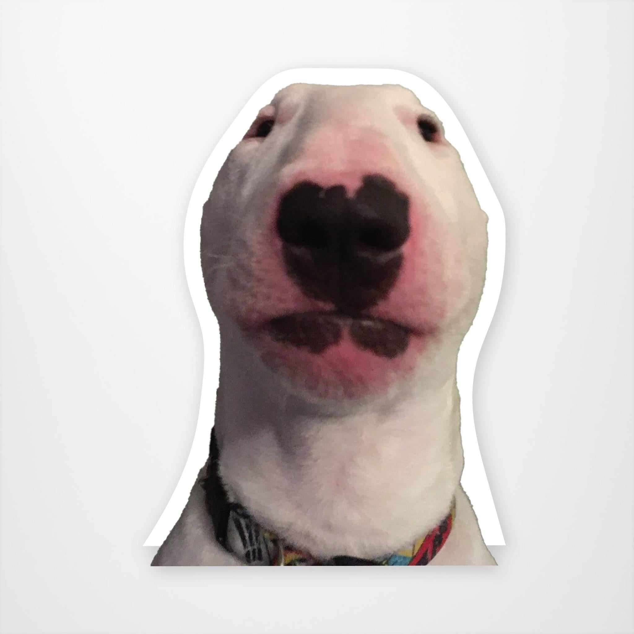 Walter Dog Meme  Vinyl Sticker