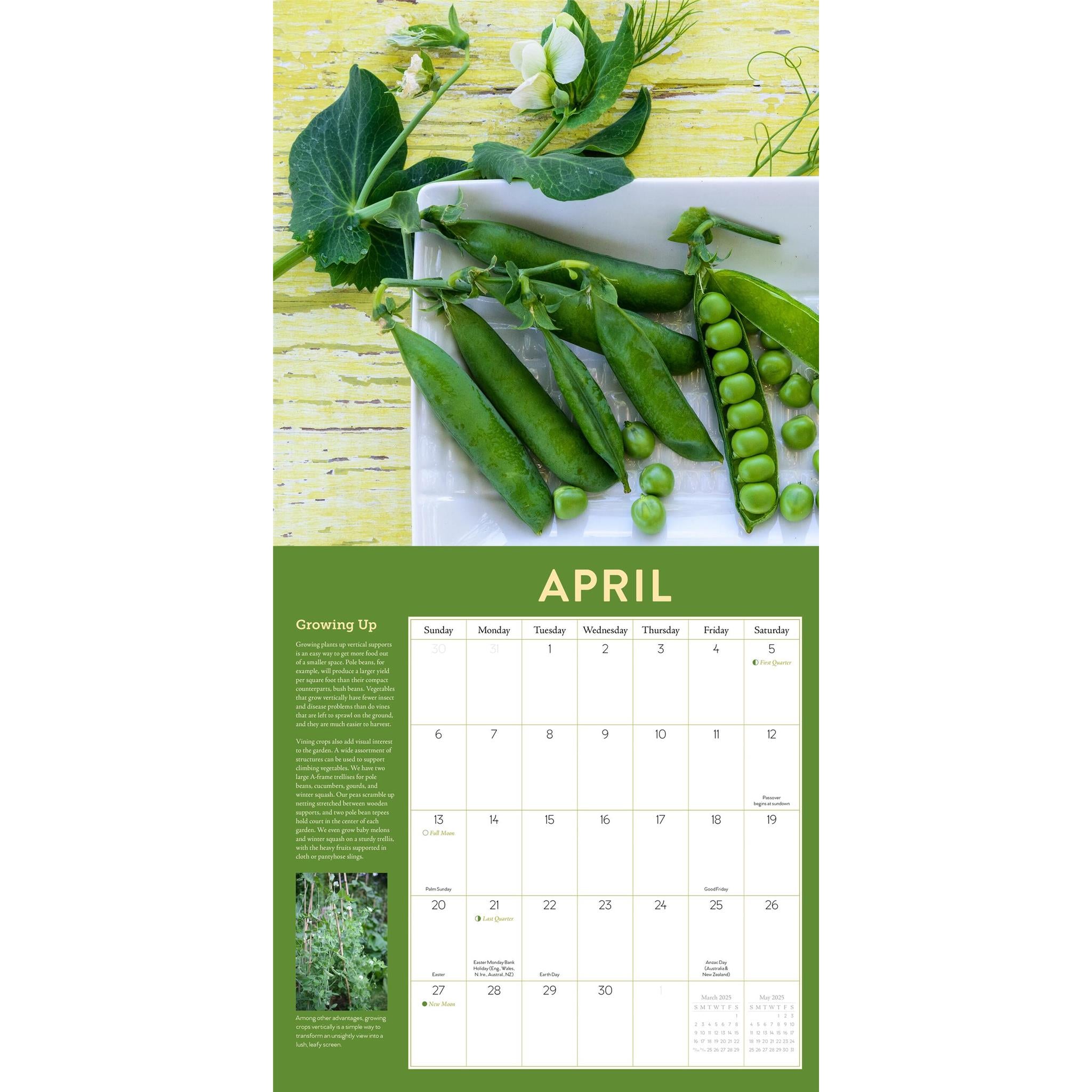 Year Round Vegetable Gardener Wall 2025 Calendar - Online Exclusive