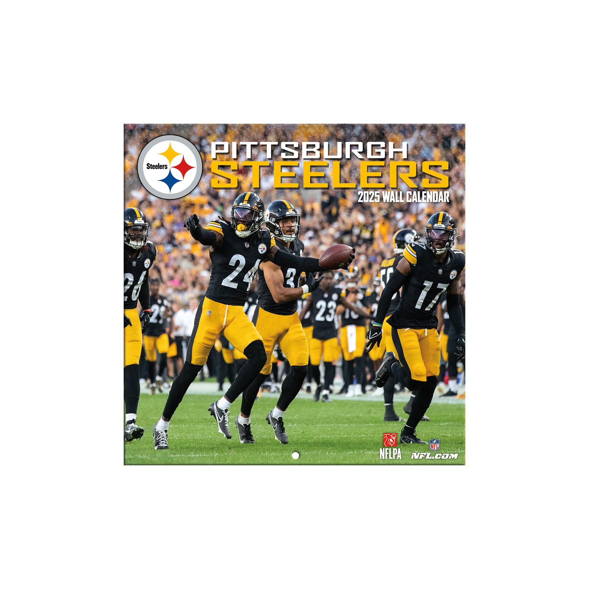 NFL Pittsburgh Steelers Mini 2025 Calendar - Online Exclusive