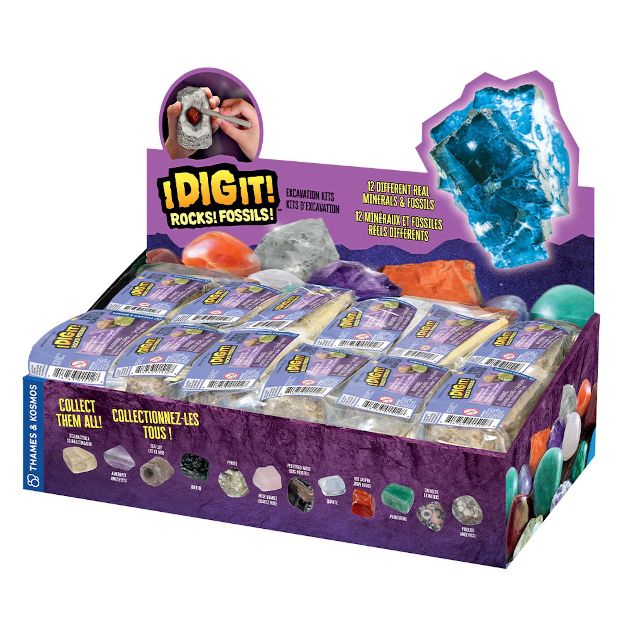 I Dig It Rocks and Fossils Mini Excavation (Unit) - FINAL SALE