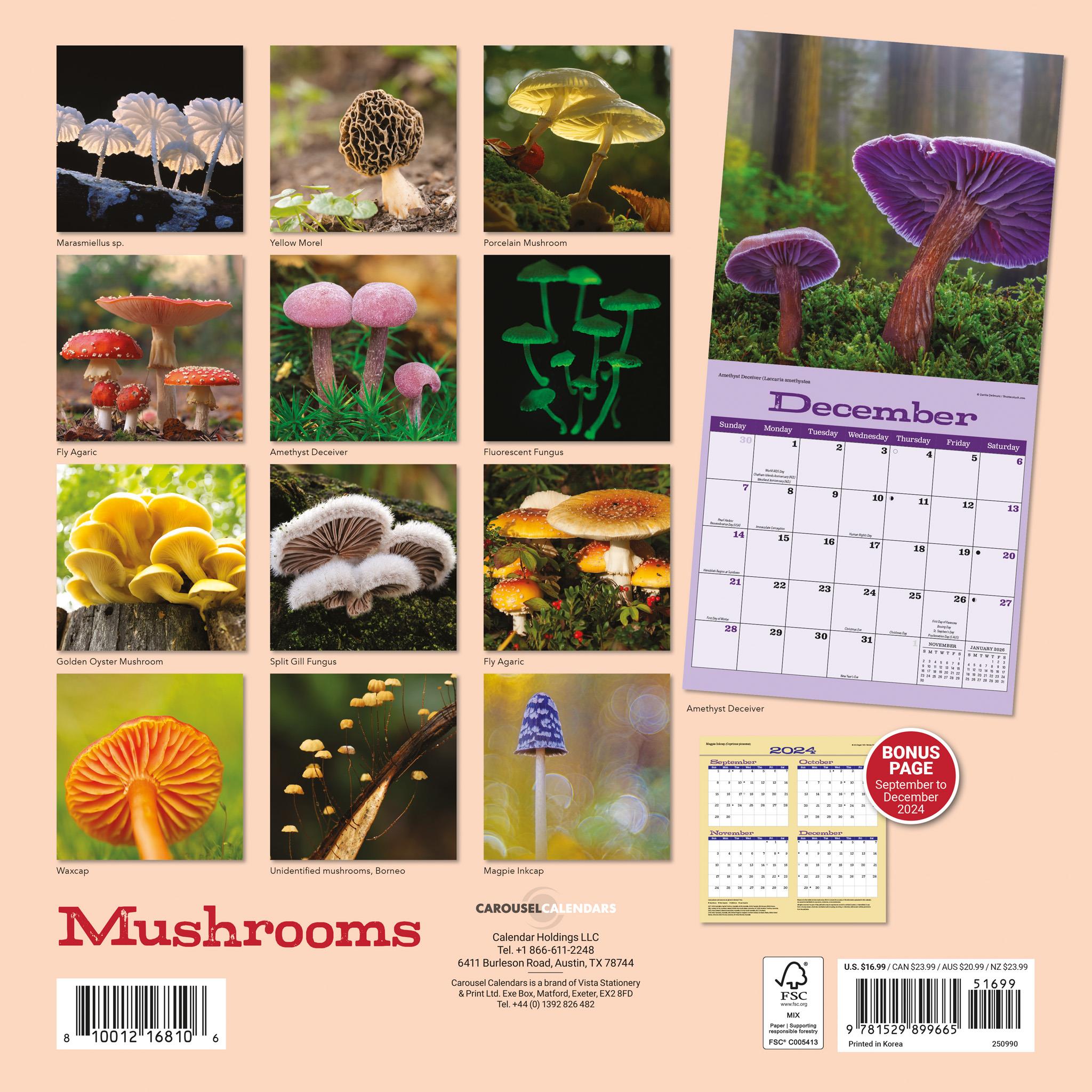 Mushrooms Wall 2025 Calendar