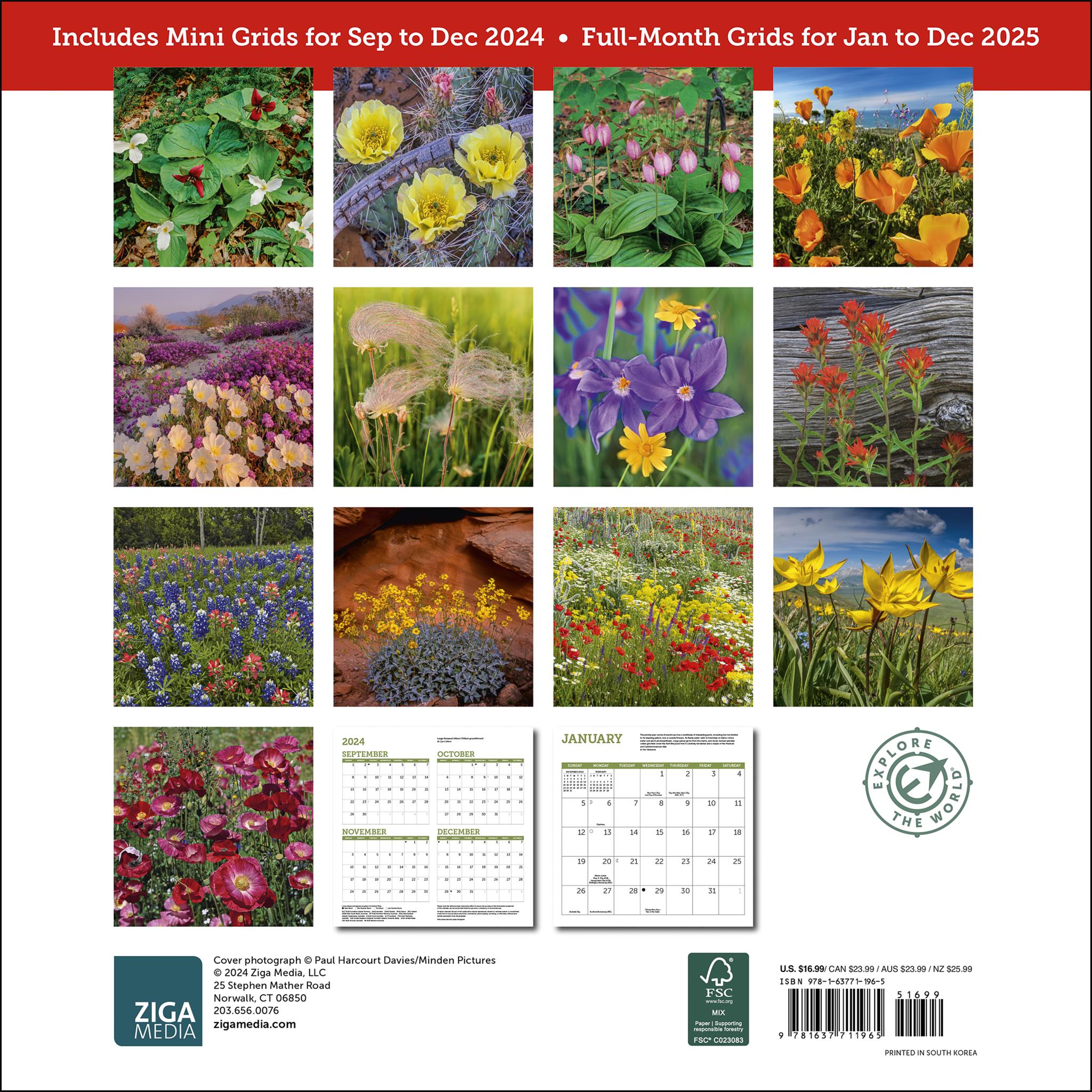 Wildflowers Wall 2025 Calendar