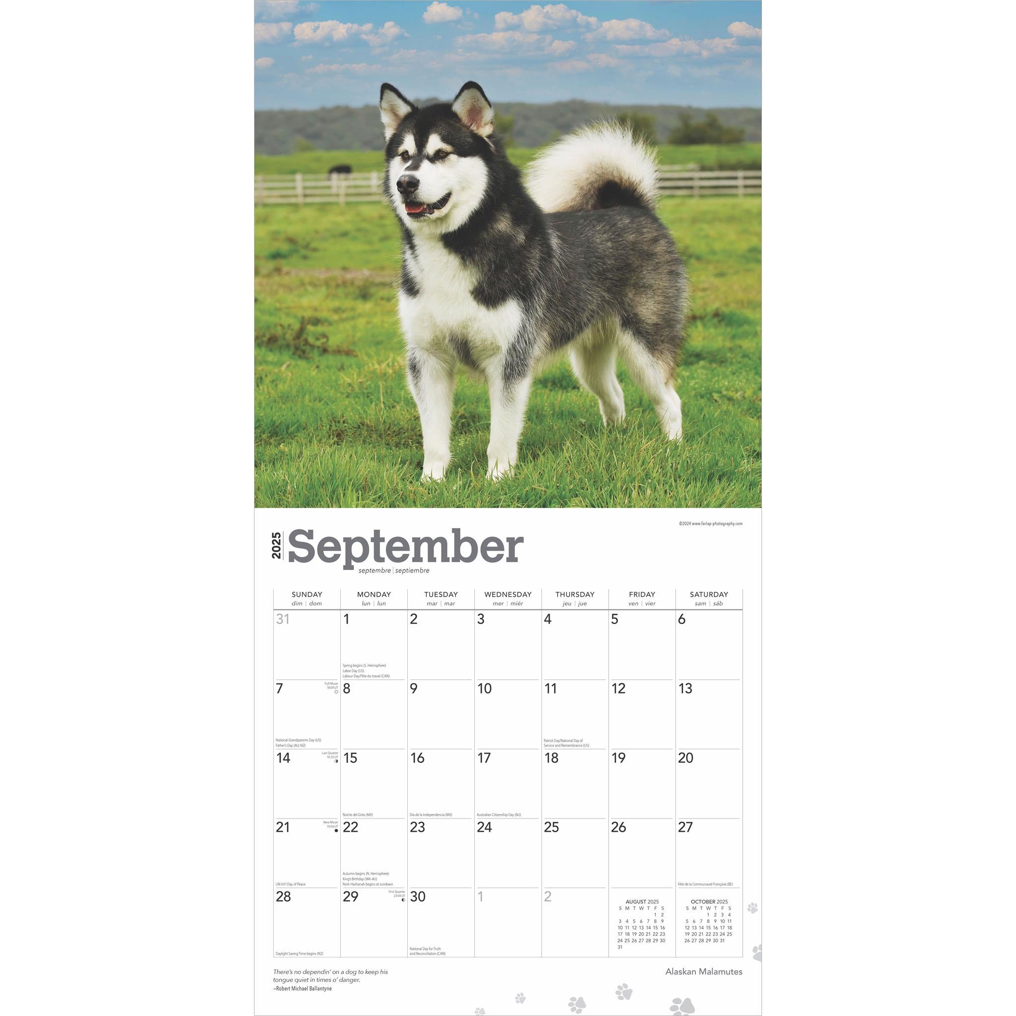 Alaskan Malamutes Wall 2025 Calendar