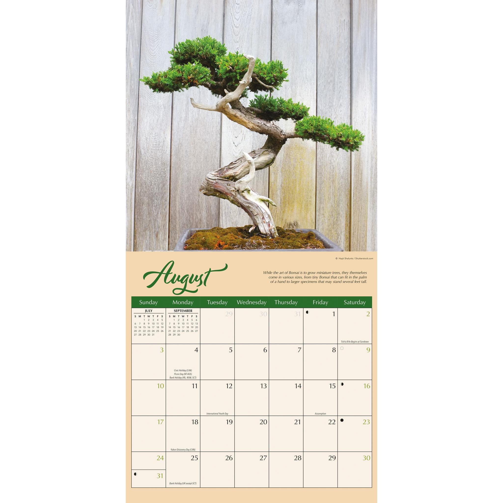 Bonsai Wall 2025 Calendar