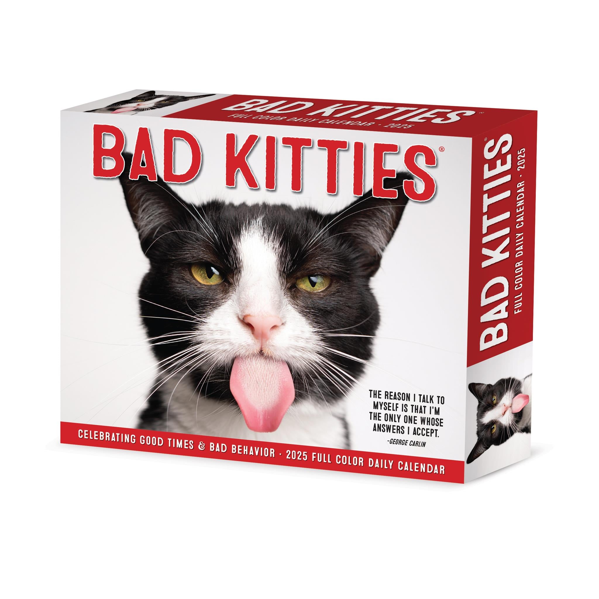 Bad Kitties Box 2025 Calendar - Online Exclusive