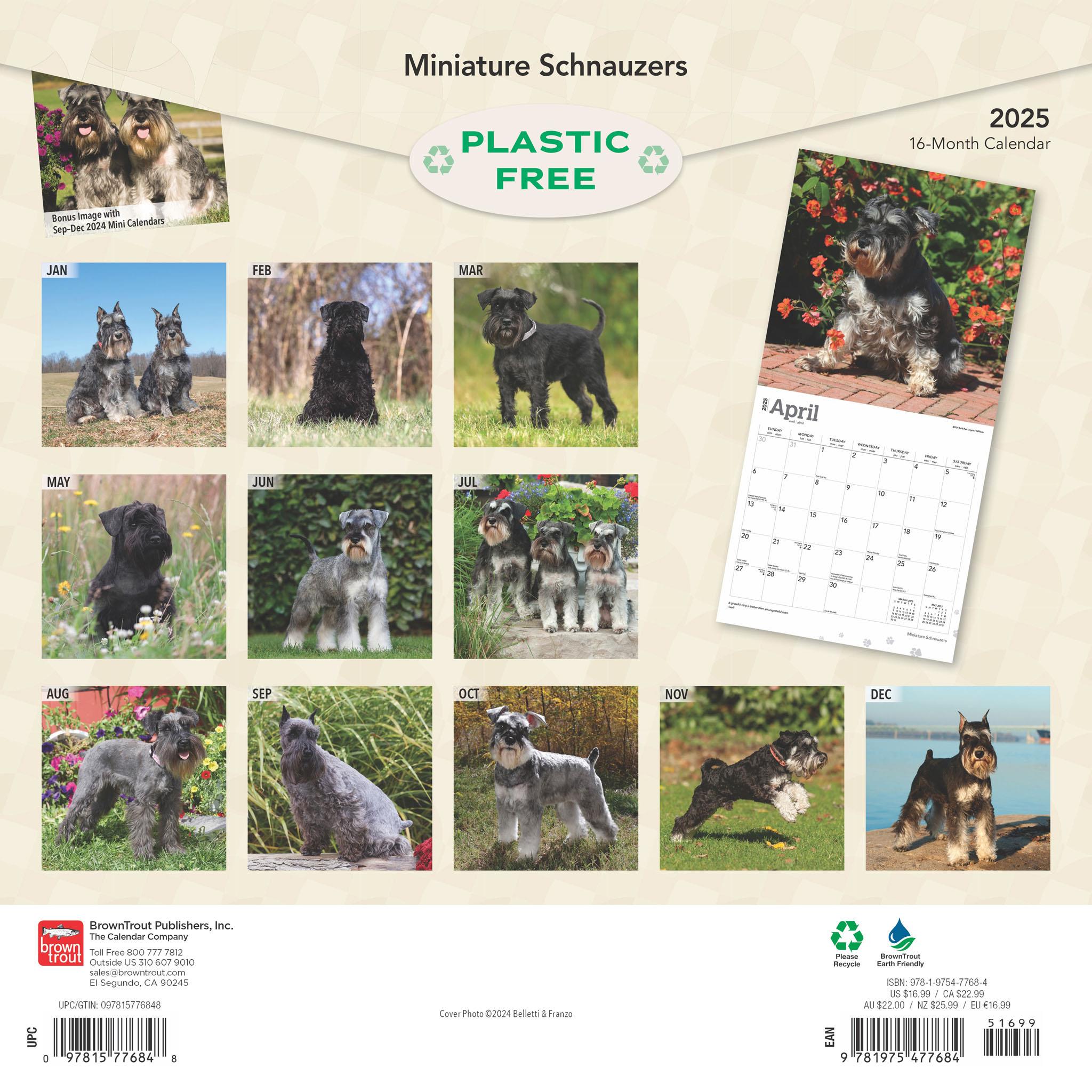 Schnauzers Miniature Wall 2025 Calendar