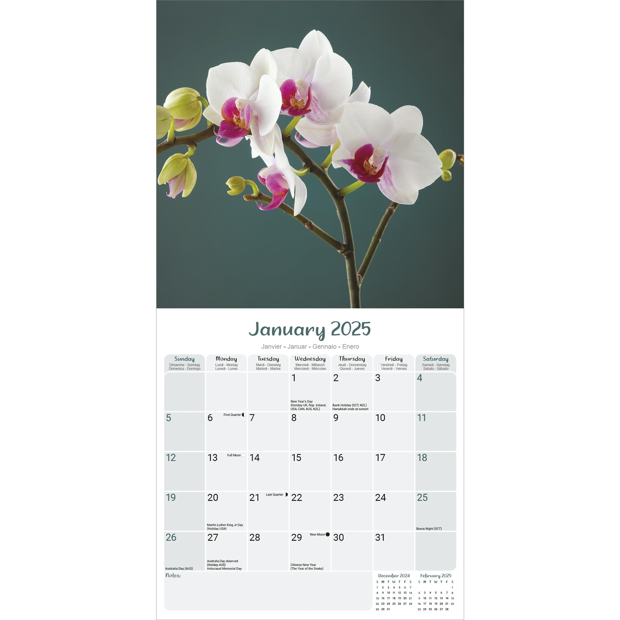 Orchids Wall 2025 Calendar