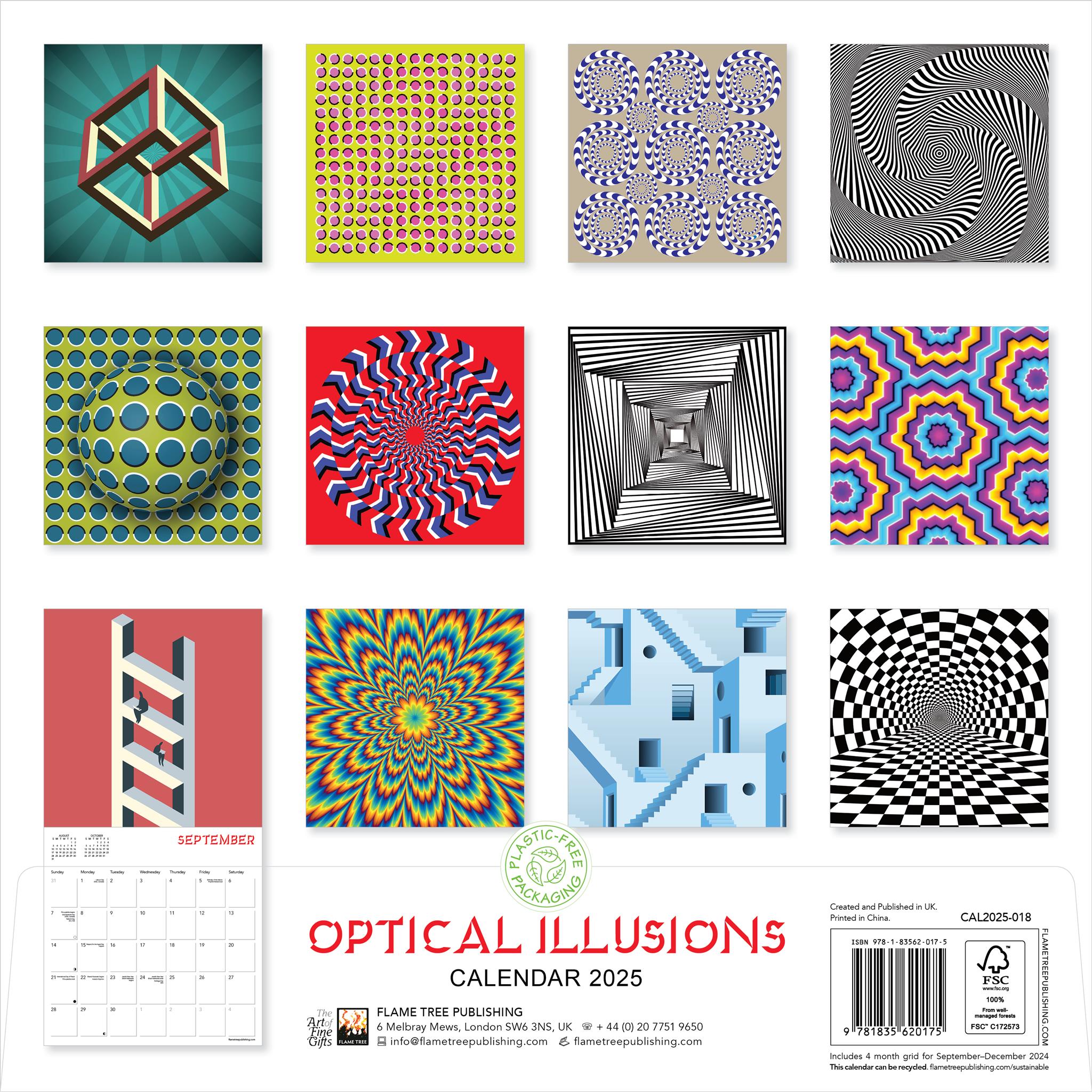 Optical Illusions Wall 2025 Calendar