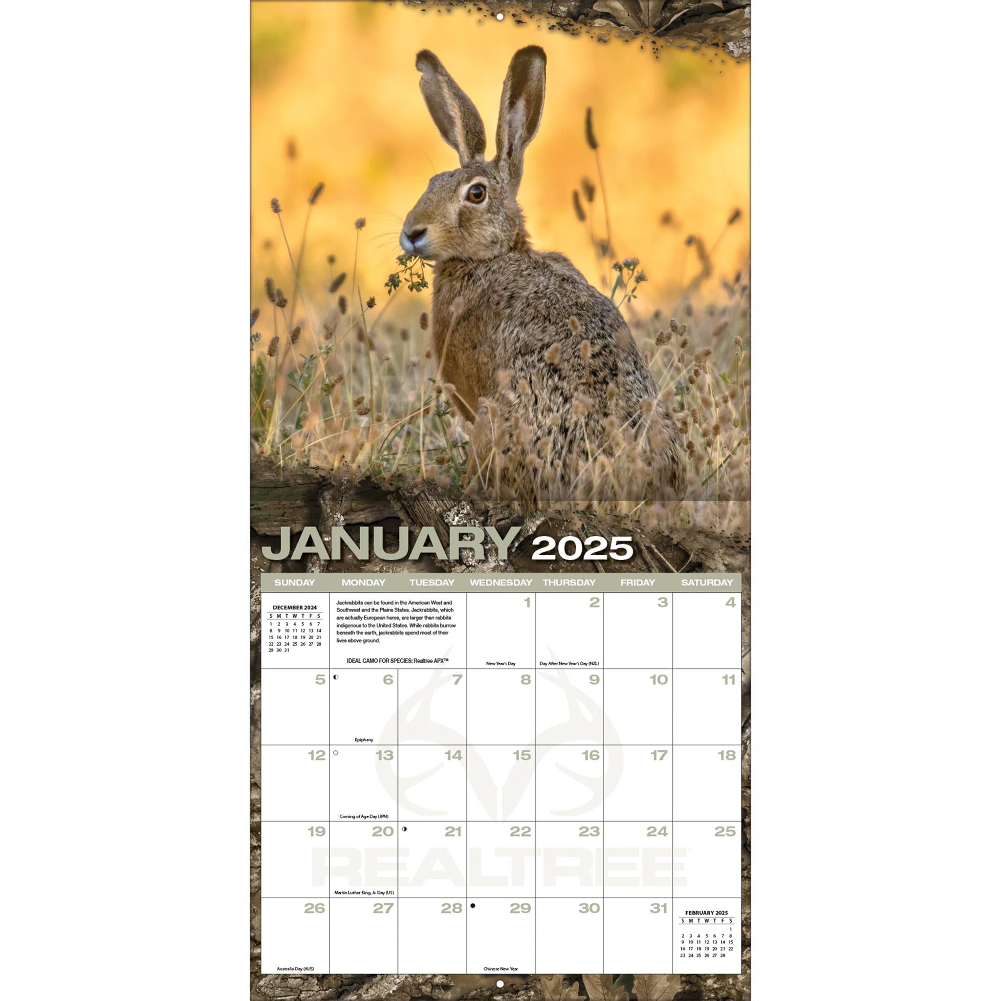 Realtree Hidden Hunter Wall 2025 Calendar - Online Exclusive