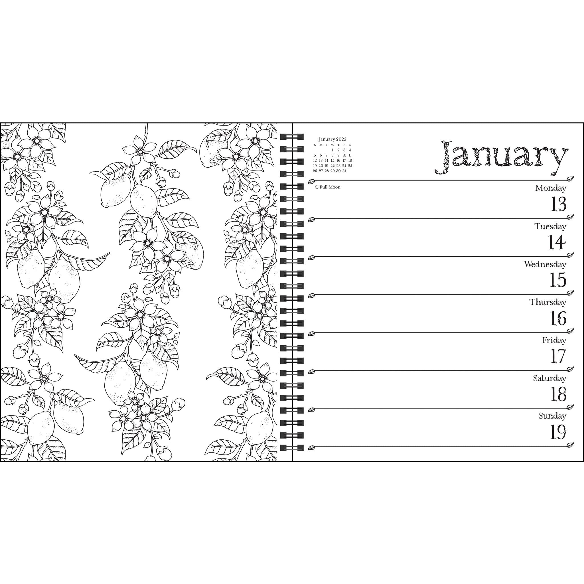 Johanna Basford Coloring Engagement 2025 Calendar