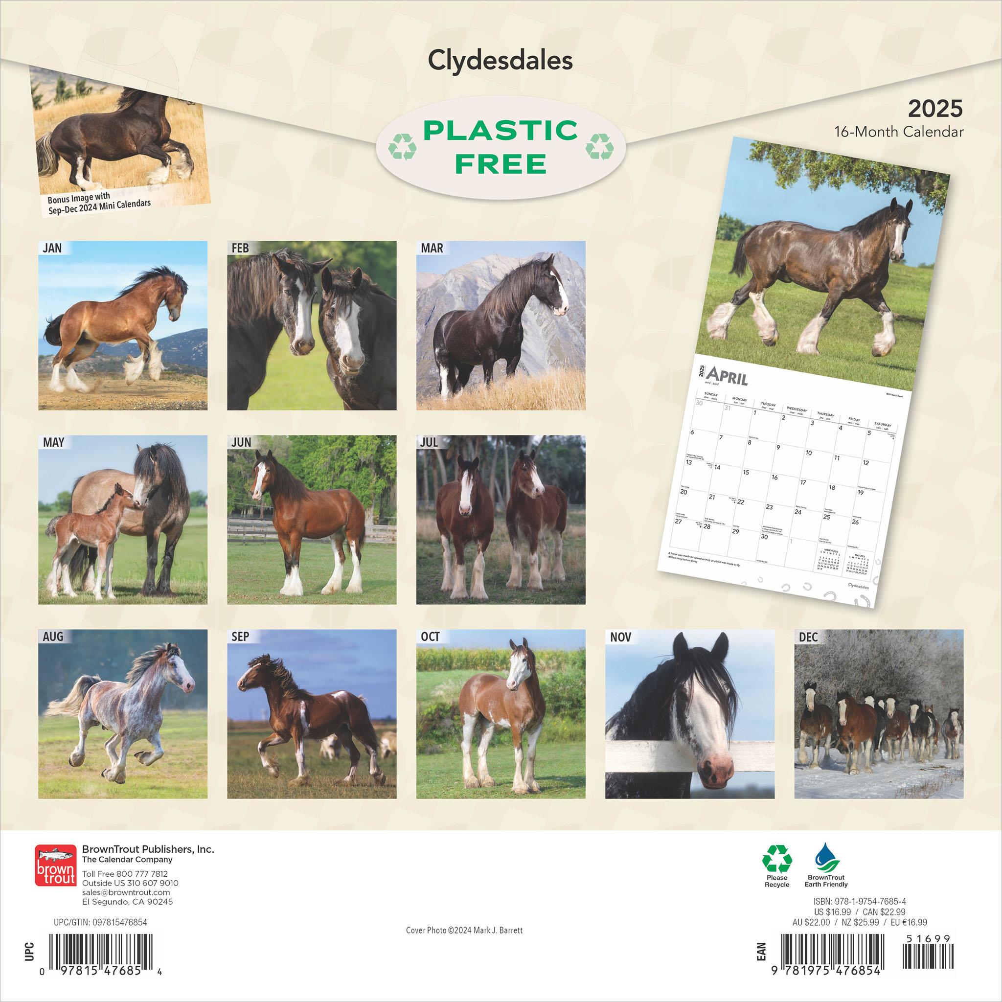 Clydesdales Wall 2025 Calendar - Online Exclusive