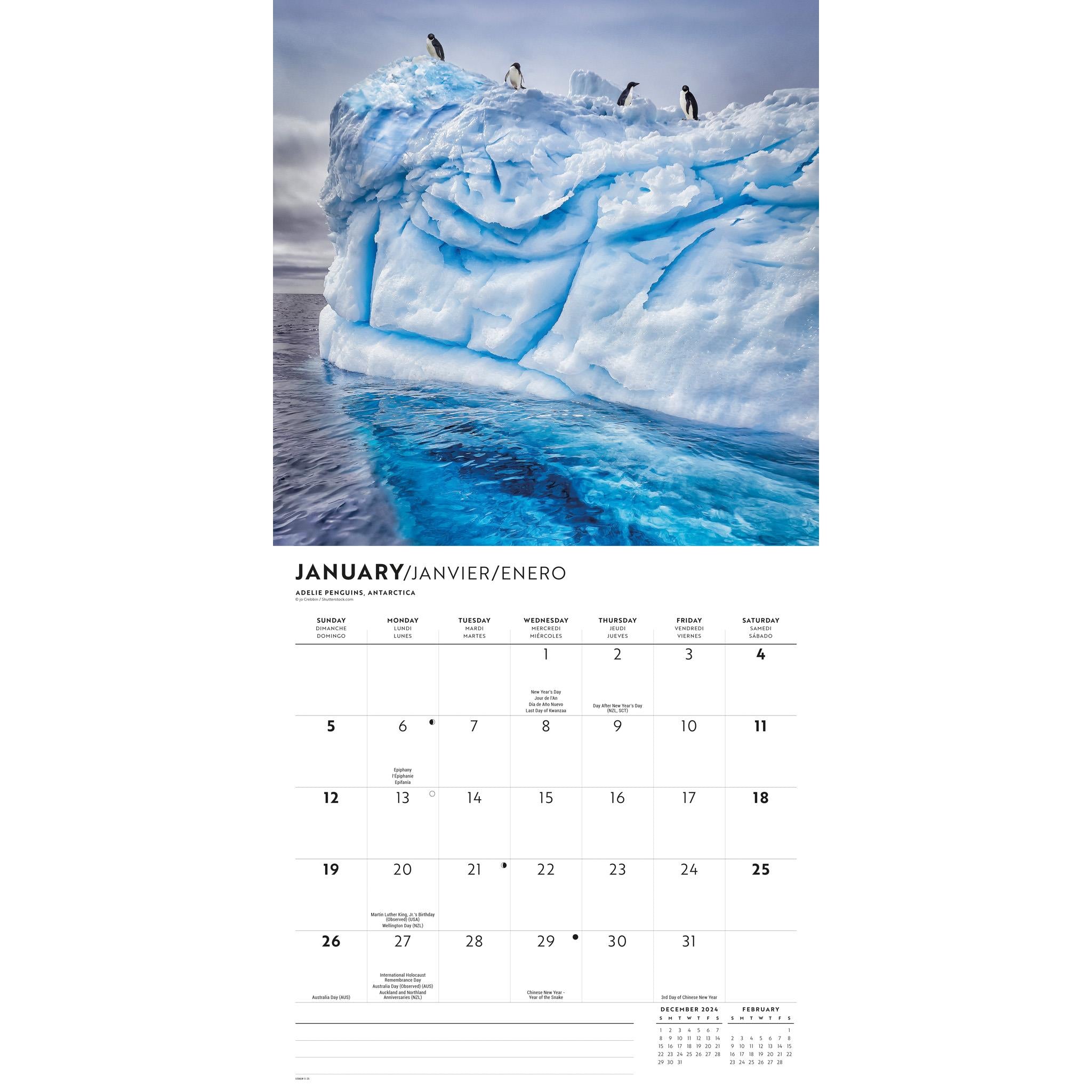 Passports To The World Wall 2025 Calendar