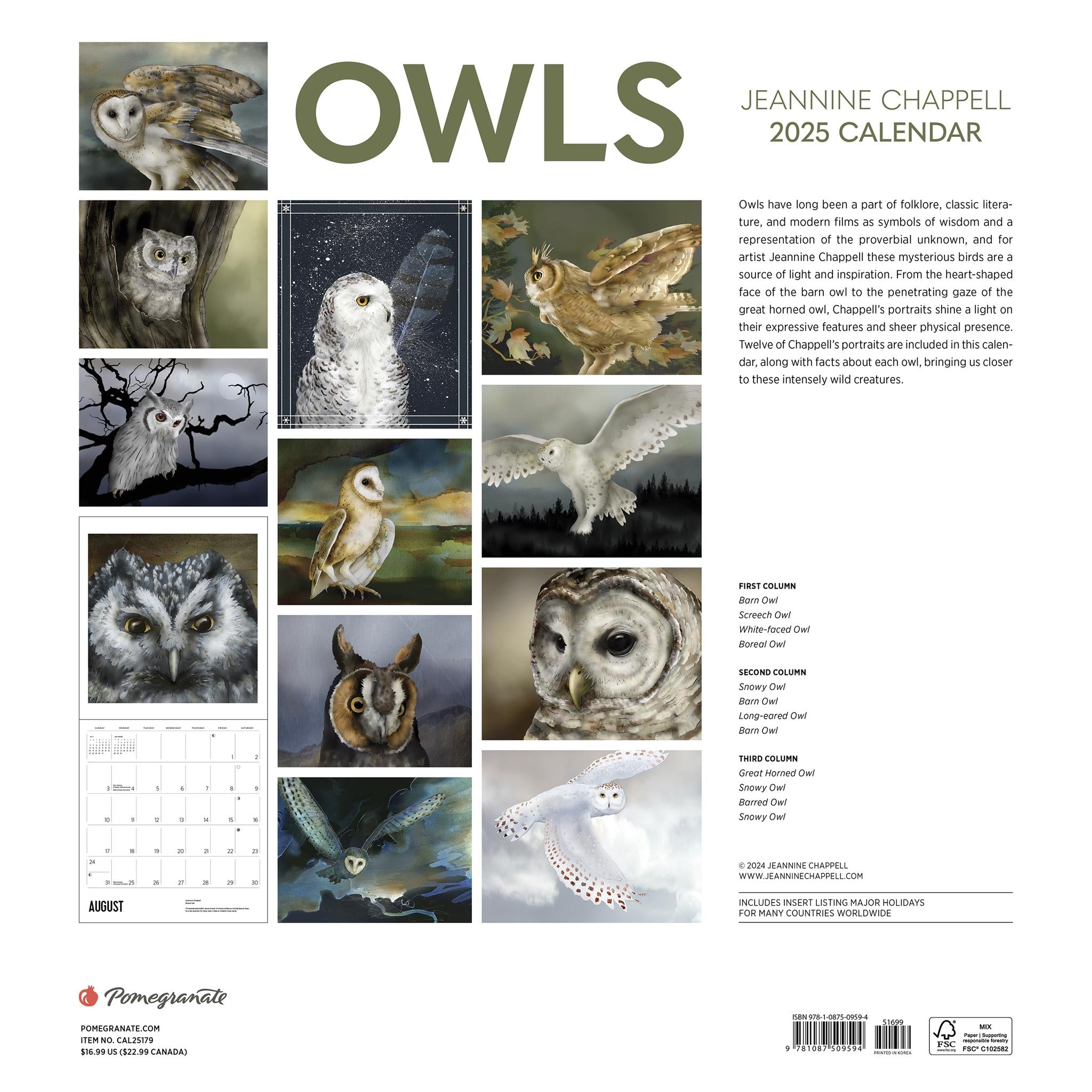 Owls Jeannine Chappell Wall 2025 Calendar