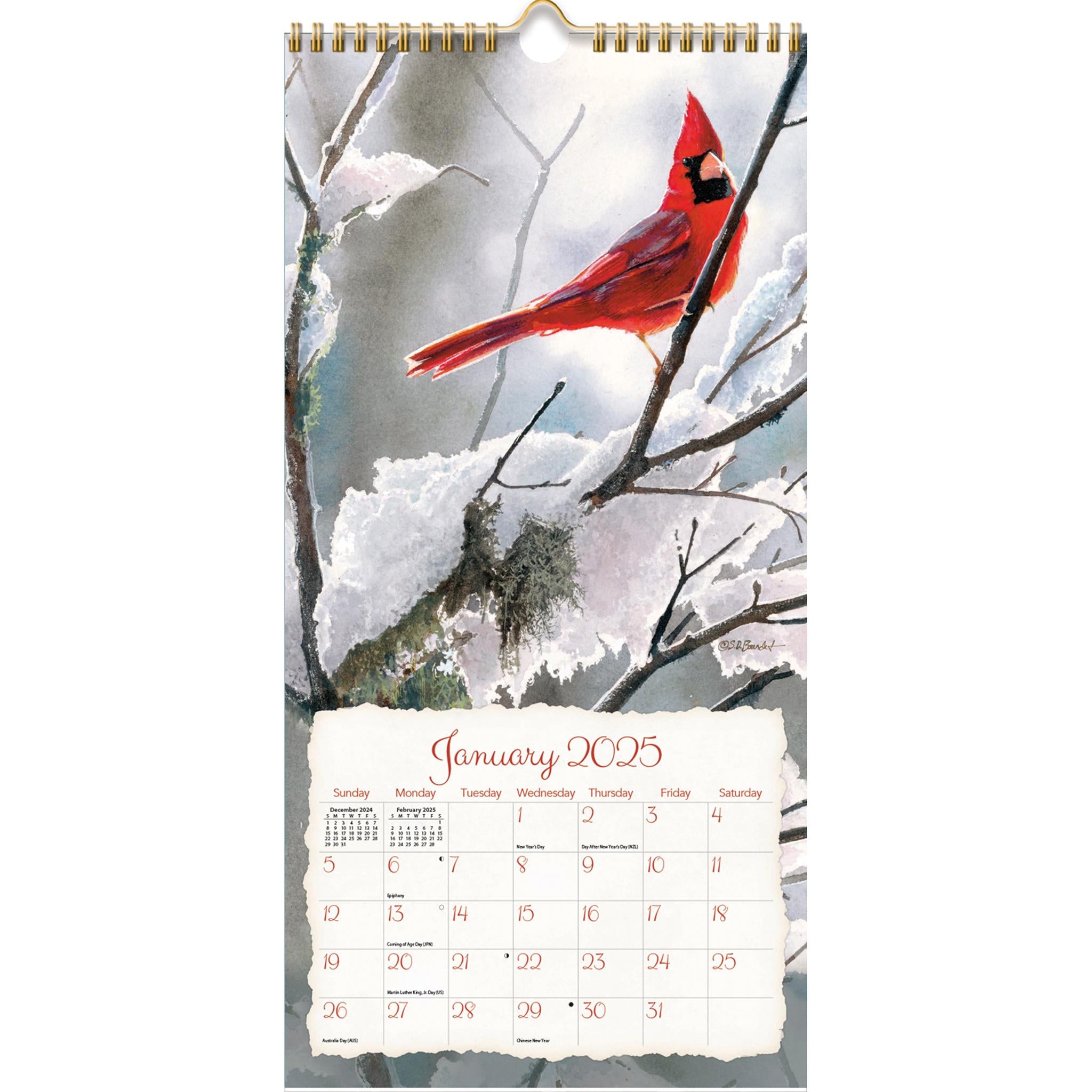 Songbirds Slim 2025 Calendar product image | Calendar Club Canada