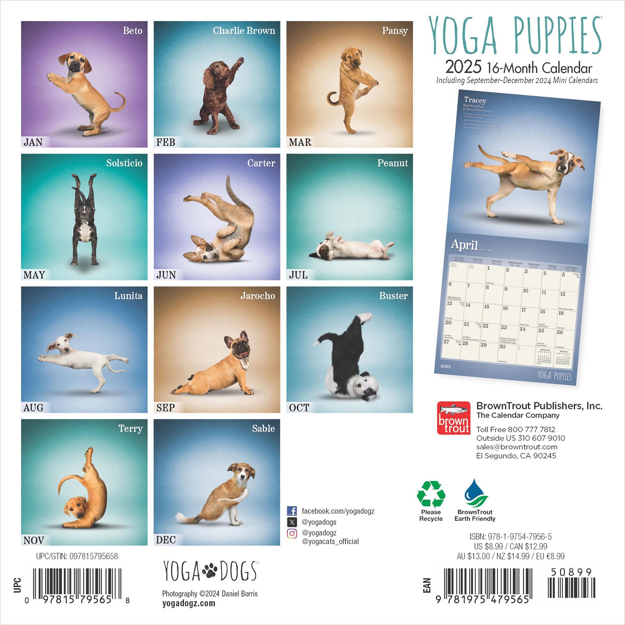 Yoga Puppies Mini 2025 Calendar