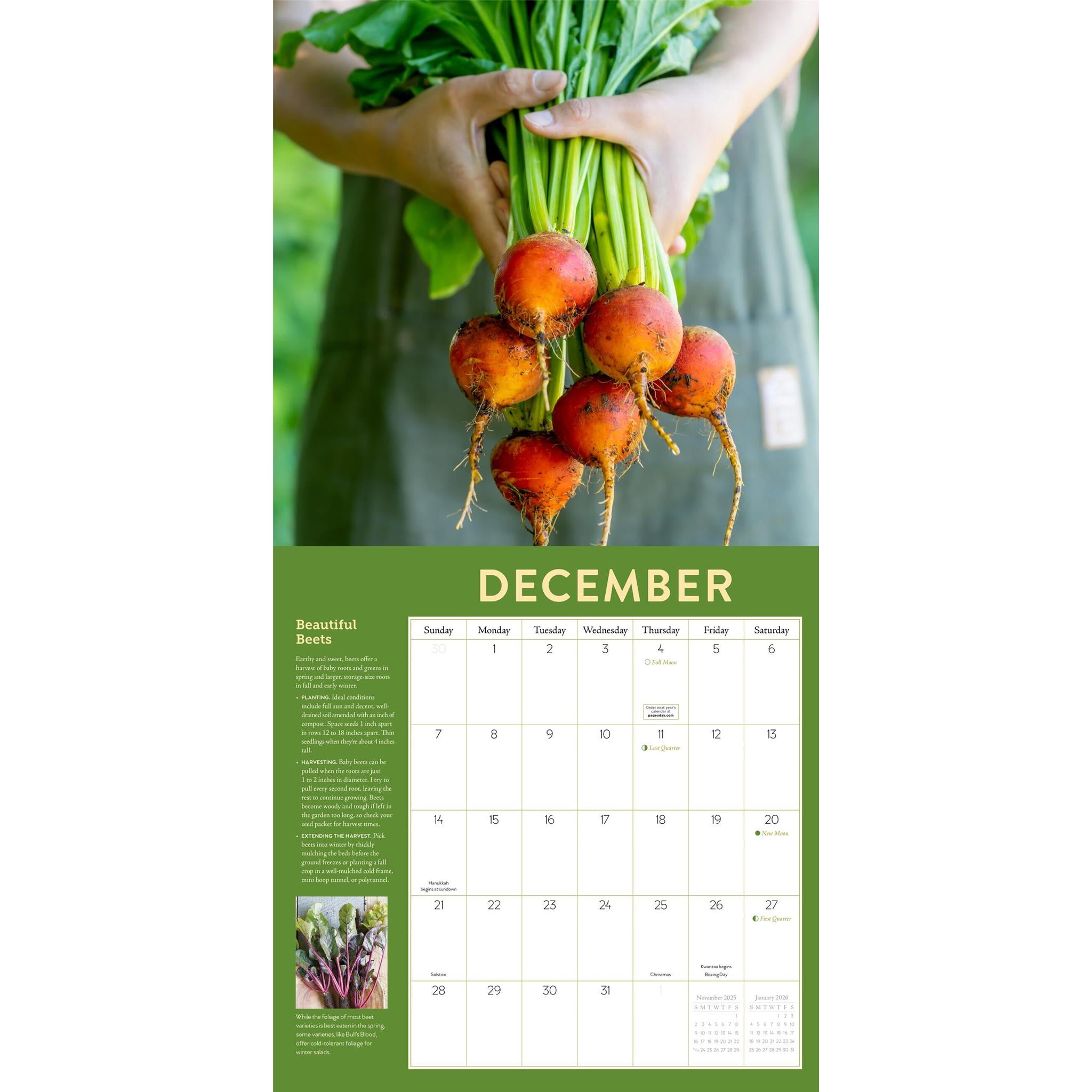 Year Round Vegetable Gardener Wall 2025 Calendar - Online Exclusive