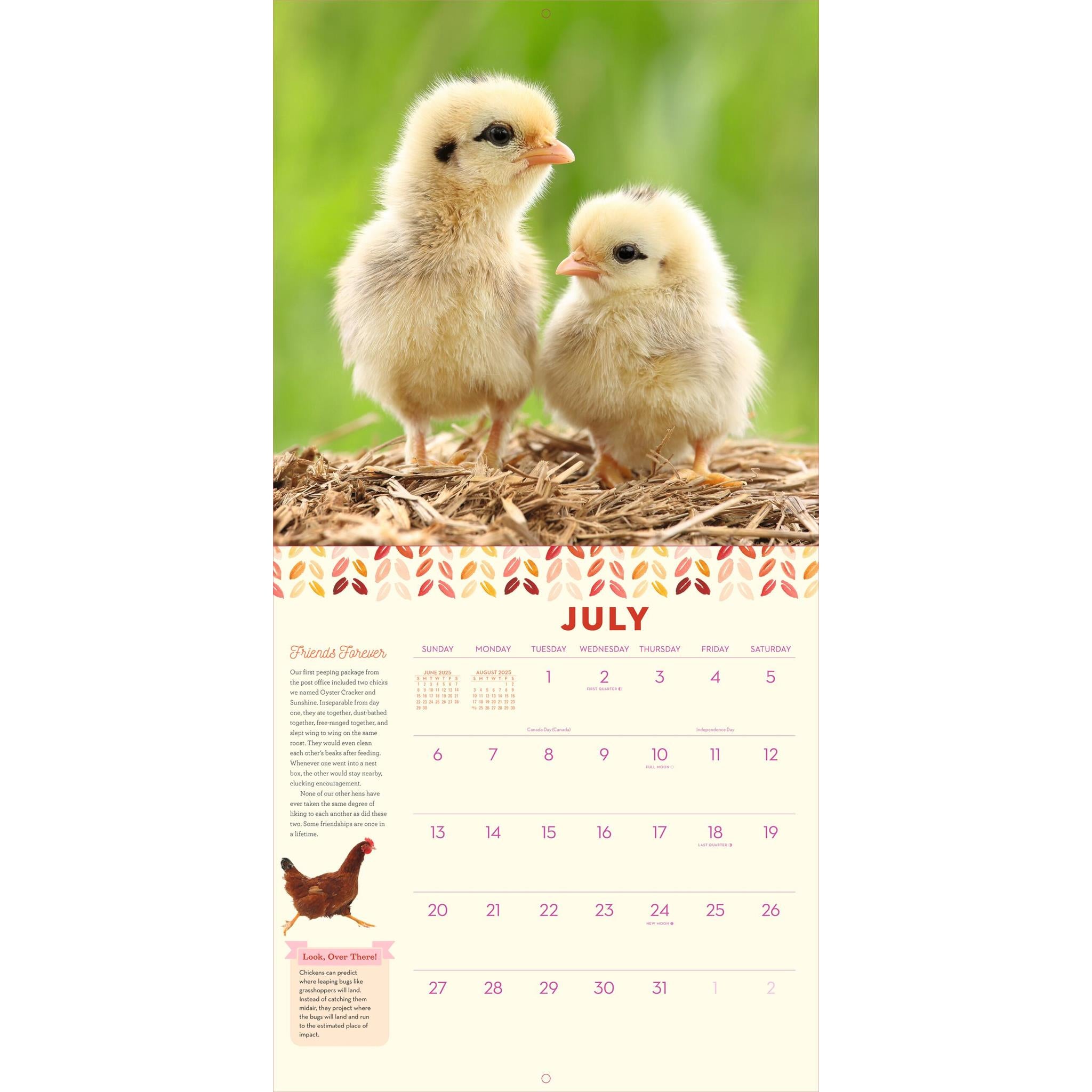 How To Speak Chicken Wall 2025 Calendar - Online Exclusive