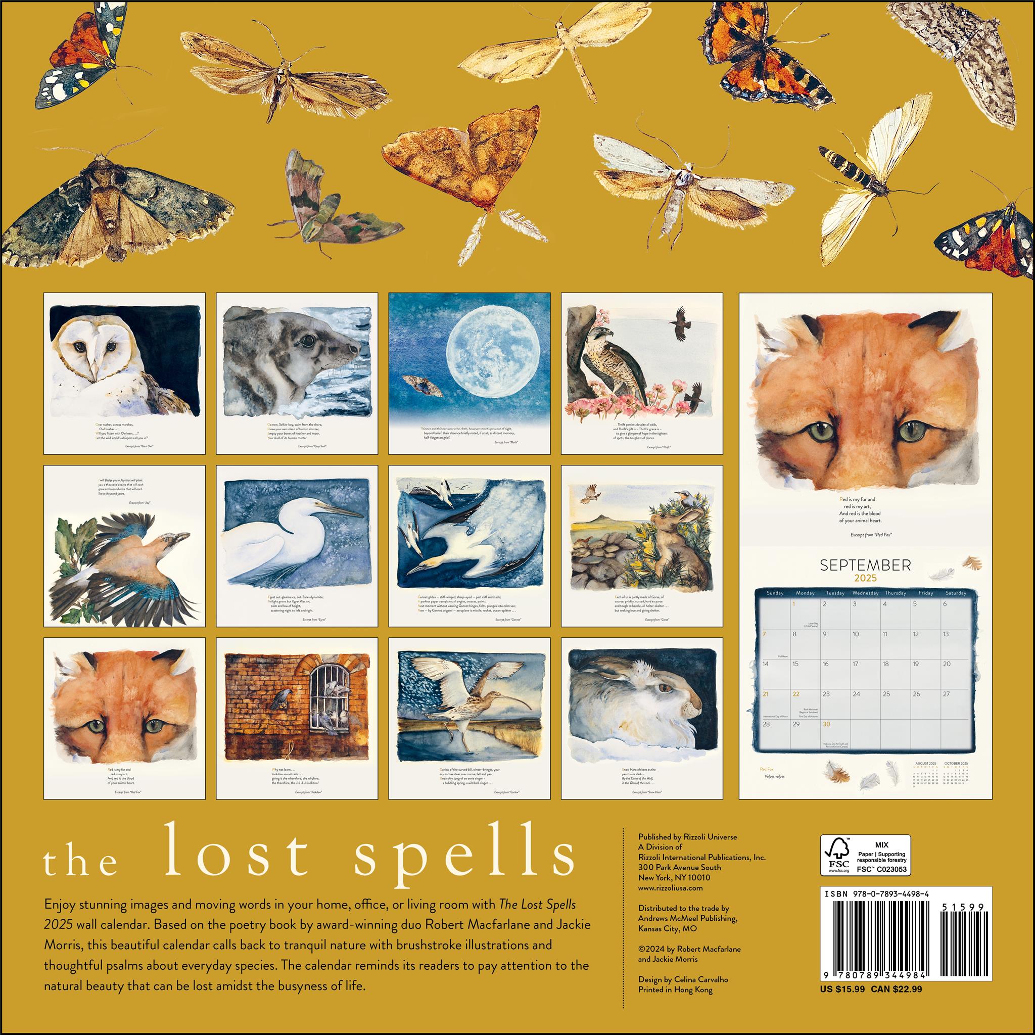 Lost Spells Wall 2025 Calendar - Online Exclusive