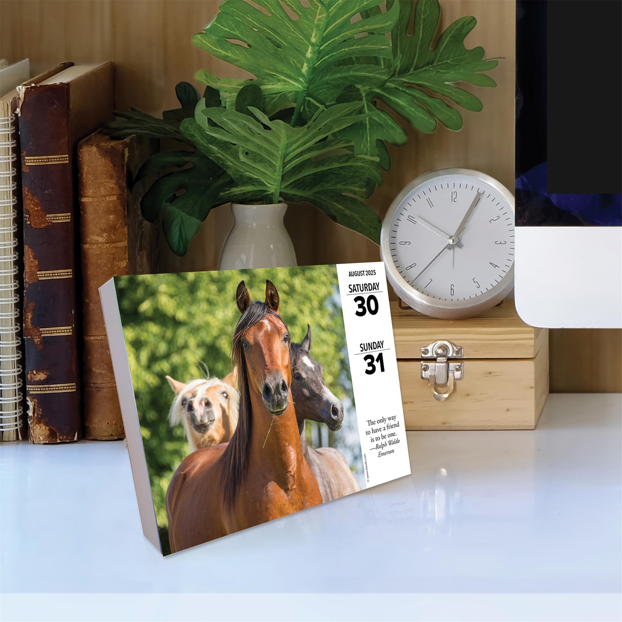 What Horses Teach Us Box 2025 Calendar