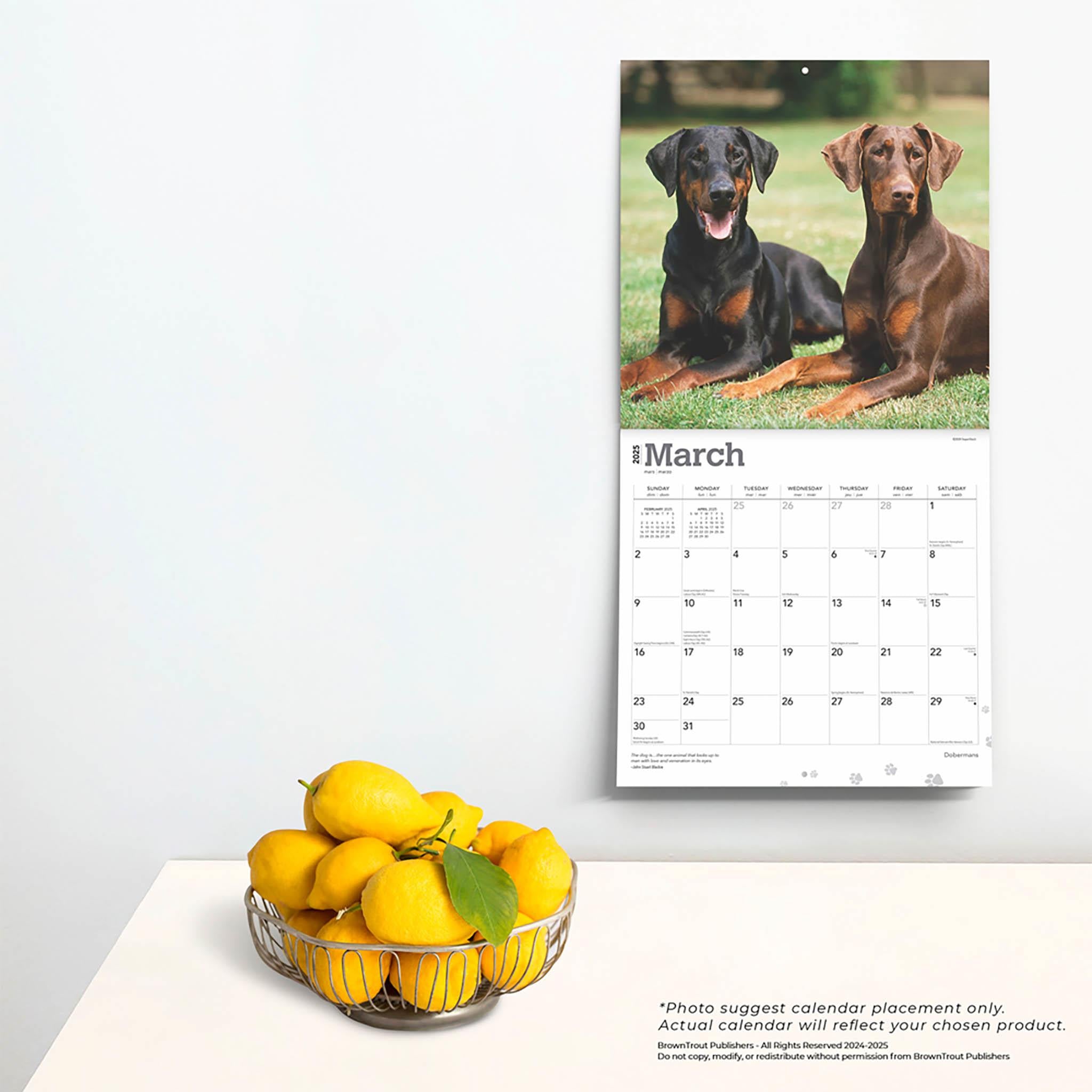 Dobermans Wall 2025 Calendar