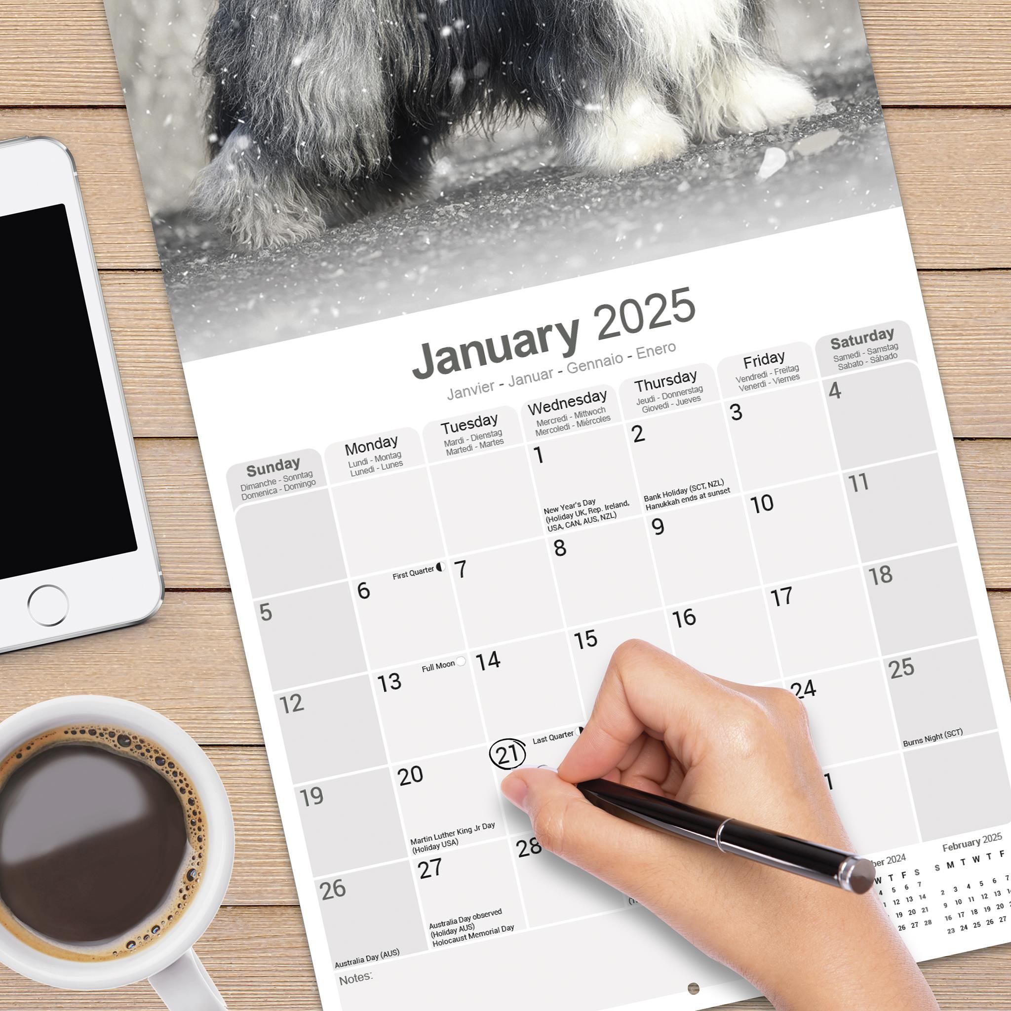 Bearded Collie Wall 2025 Calendar - Online Exclusive