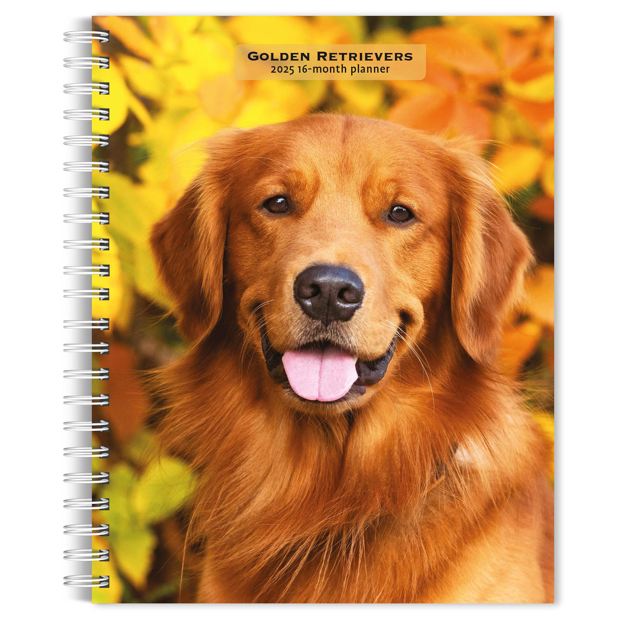 Golden Retrievers Engagement 2025 Calendar